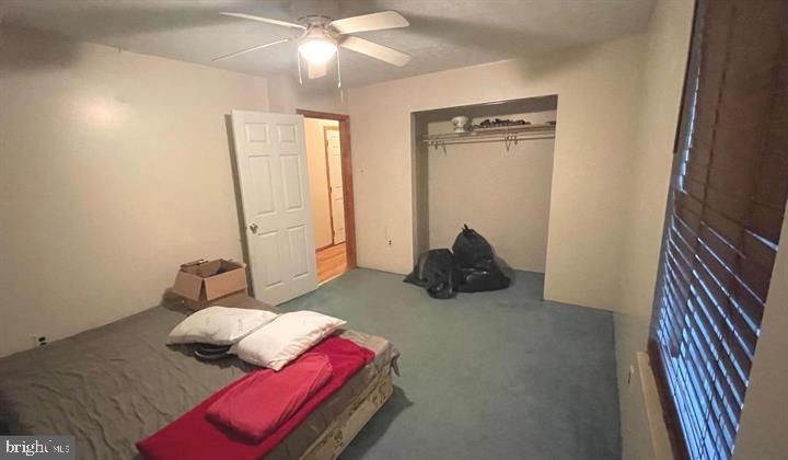 THE POINTS - Residential