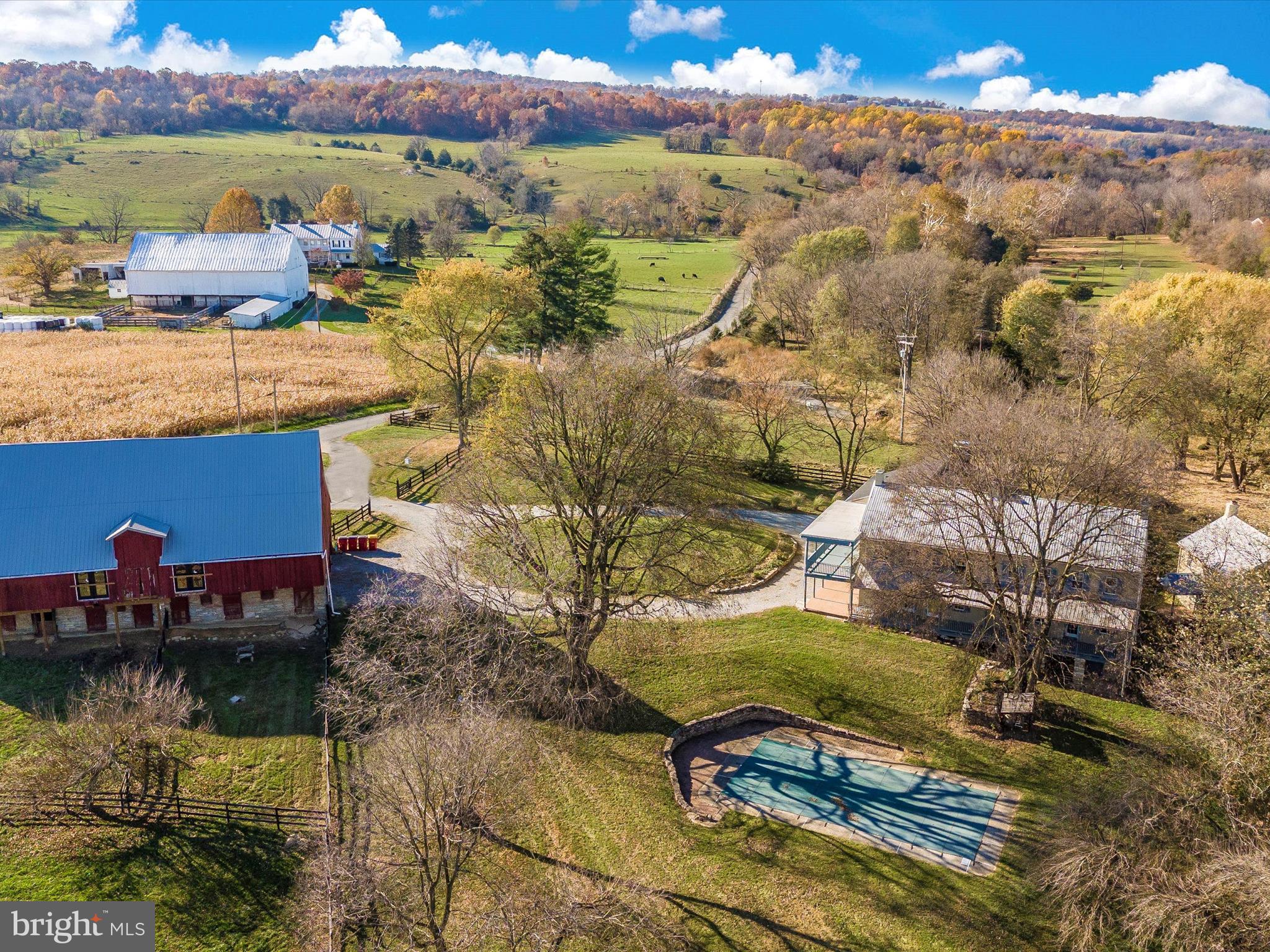 NONE AVAILABLE - Farm