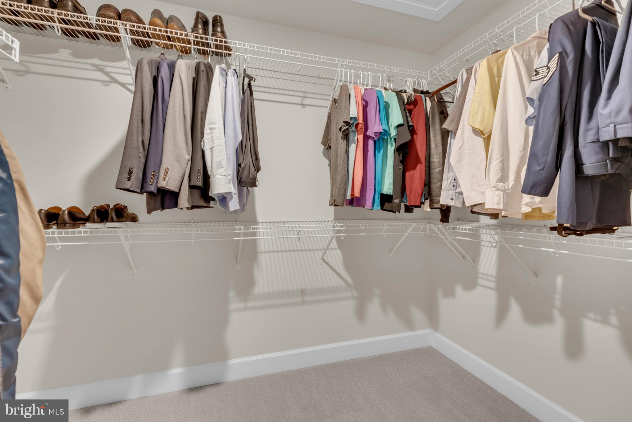 HAMILTON PARK - Residential