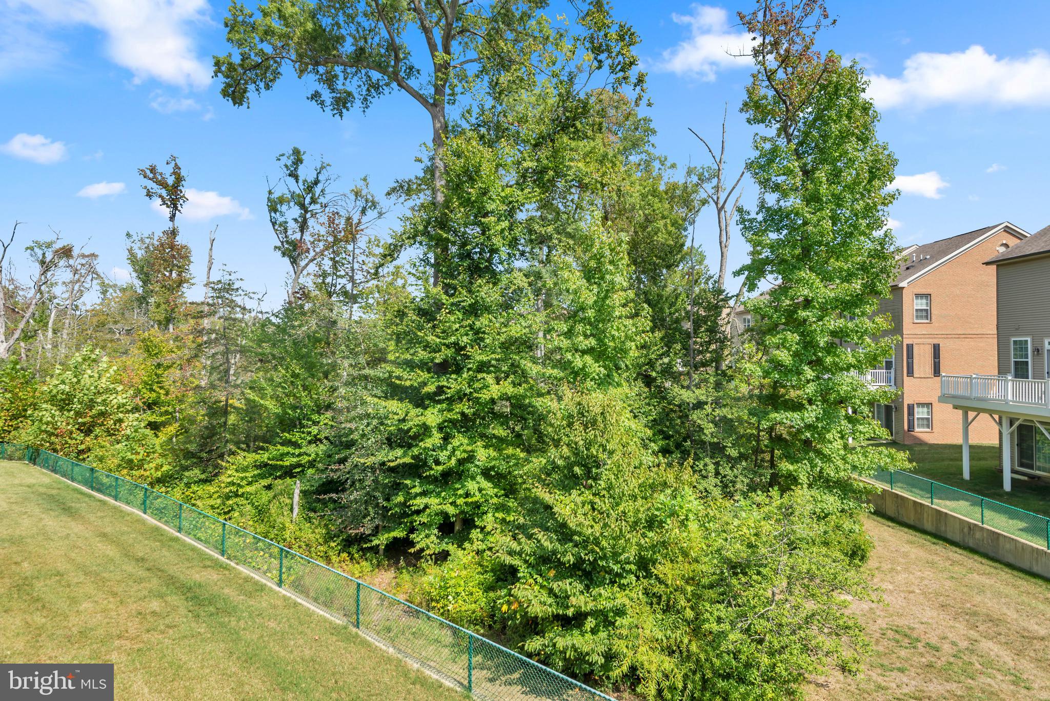 HAMILTON PARK - Residential