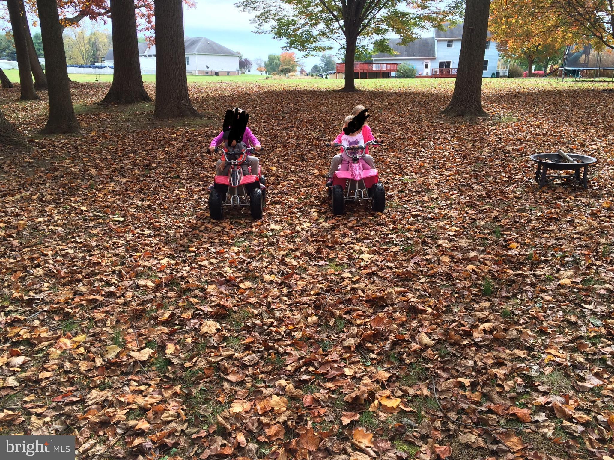 CHELSEA OF NOTTINGHAM - Residential