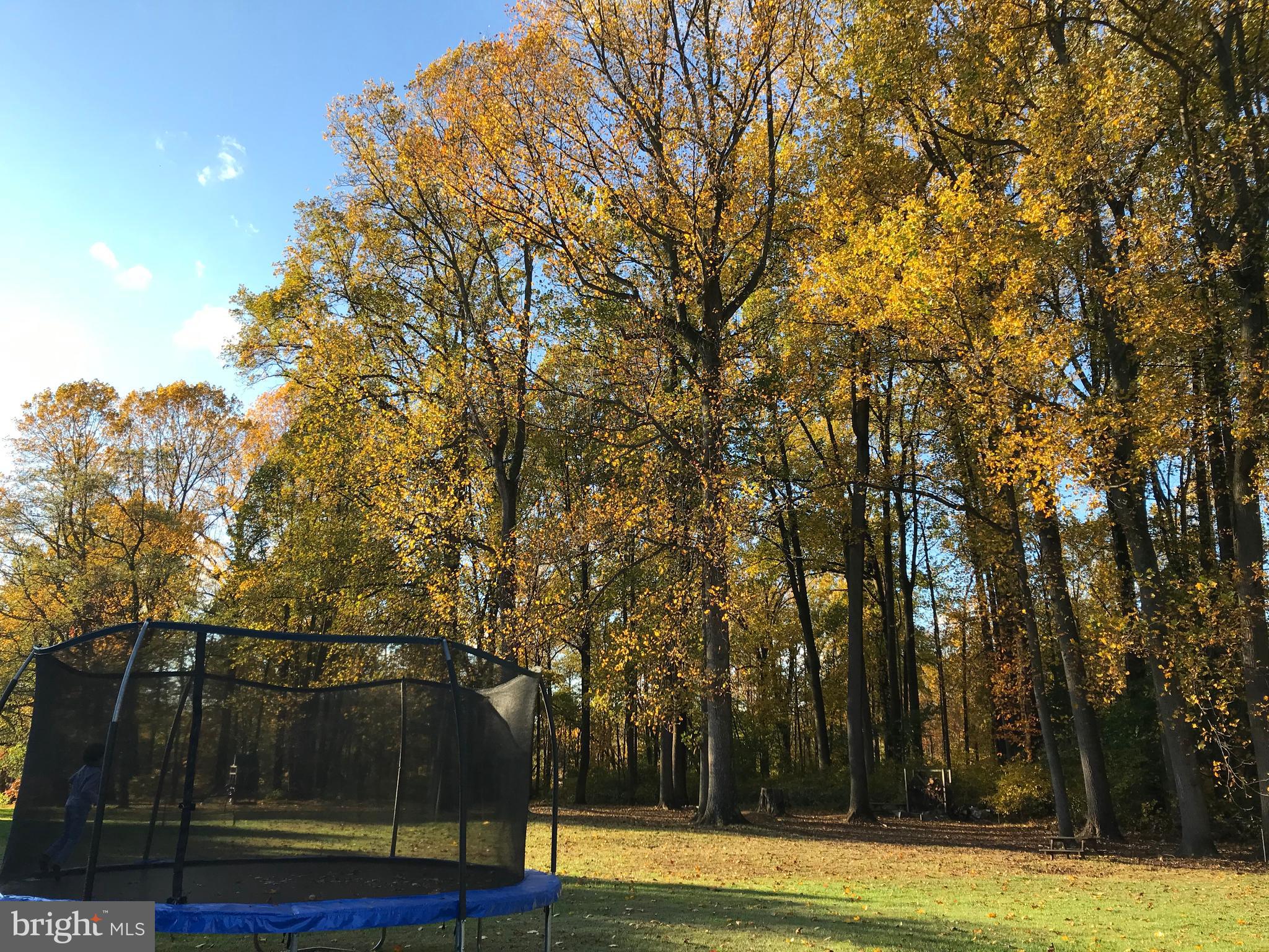 CHELSEA OF NOTTINGHAM - Residential