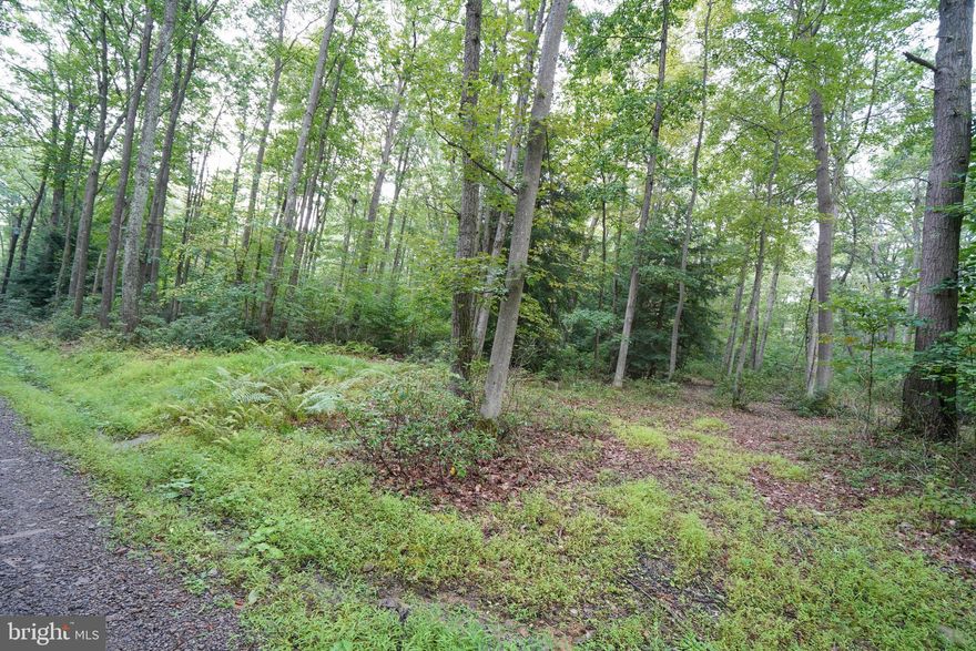 Two lots in Youghiogheny Mountain Resort totaling 0.94 acres with one approved perc site on lot 23. The YMR community offers over 50 miles of trails for recreation, fishing at Muddy Creek and much more!