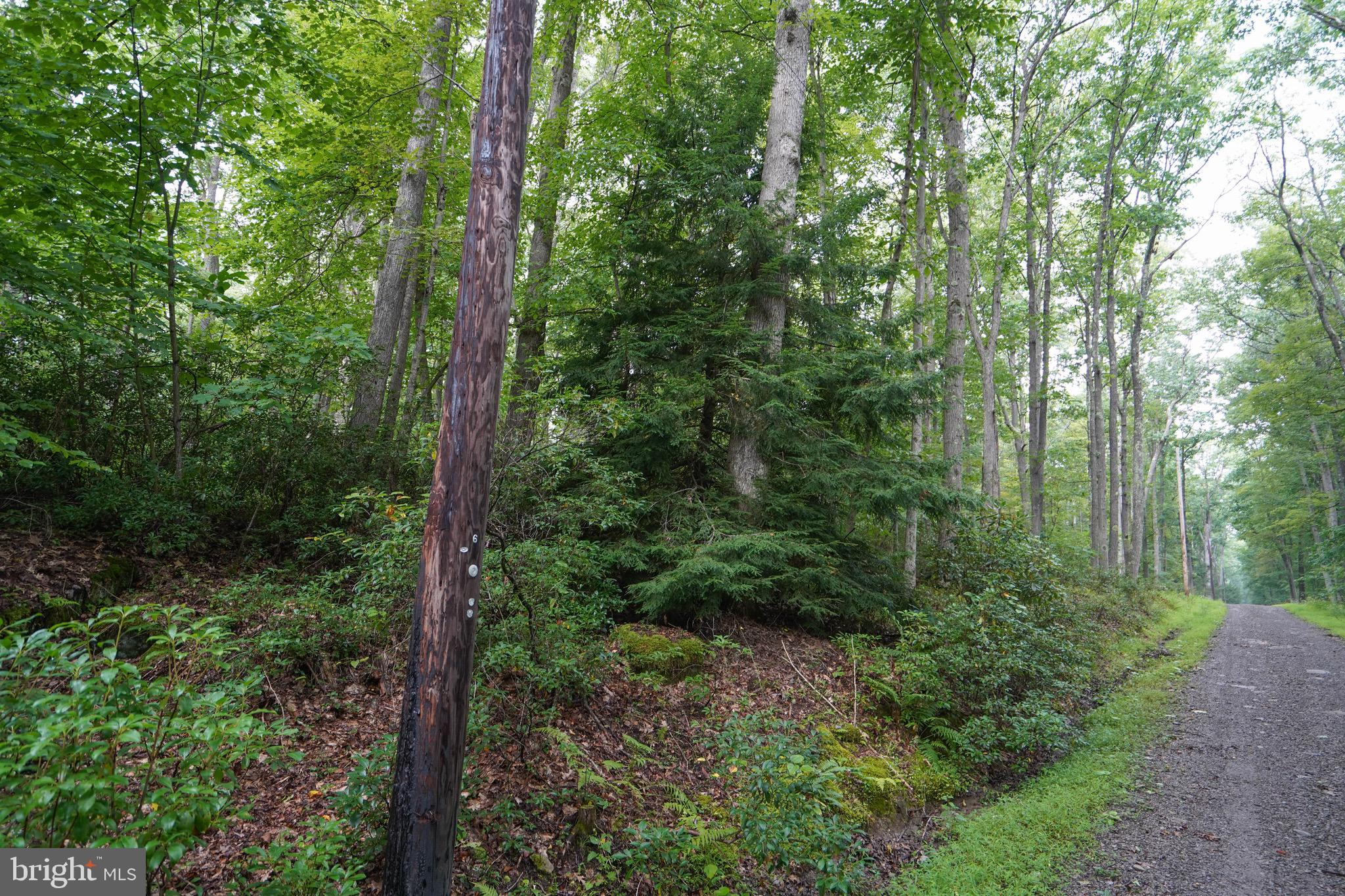 PINEY MOUNTAIN CORP - Land