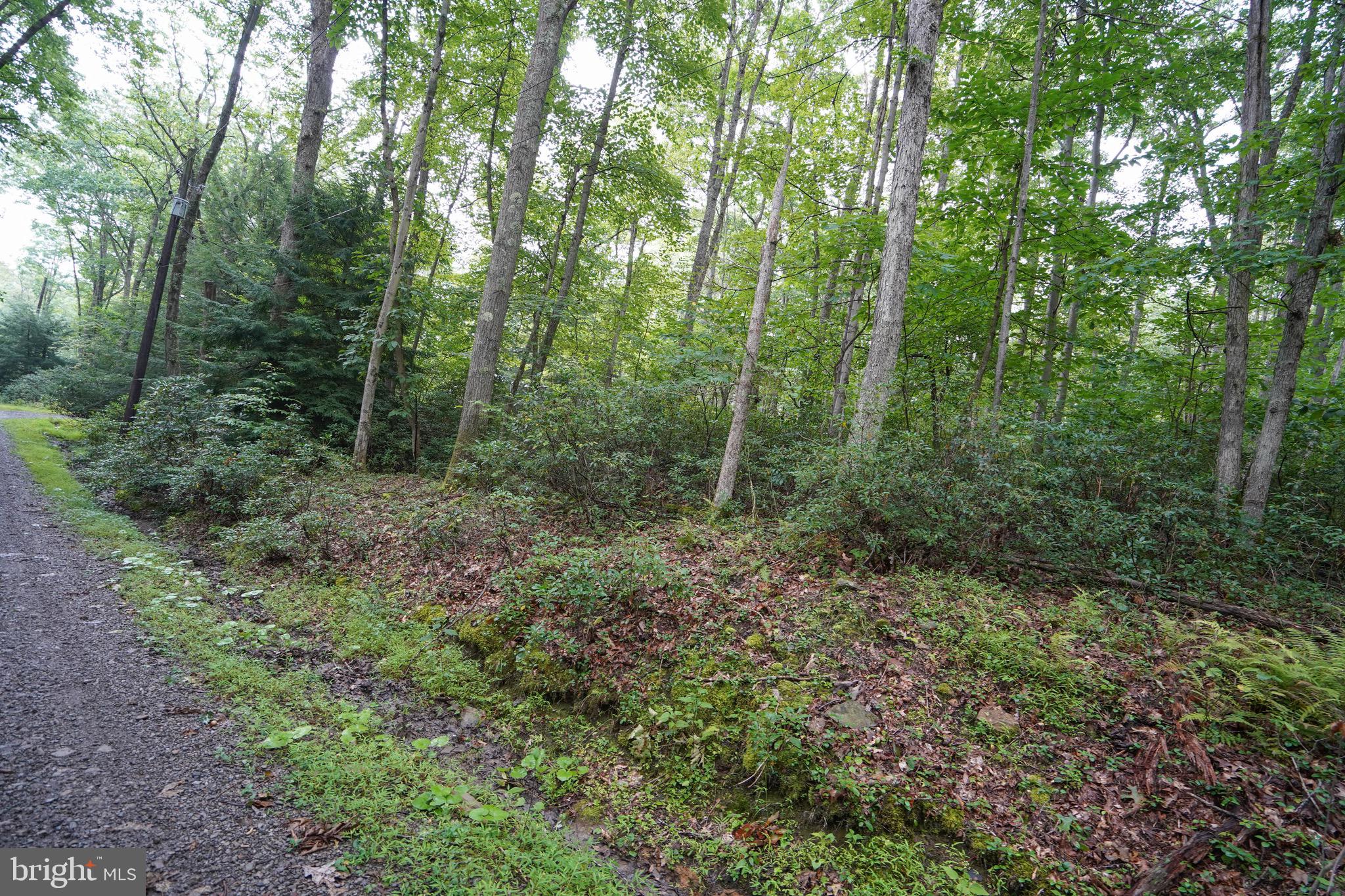 PINEY MOUNTAIN CORP - Land