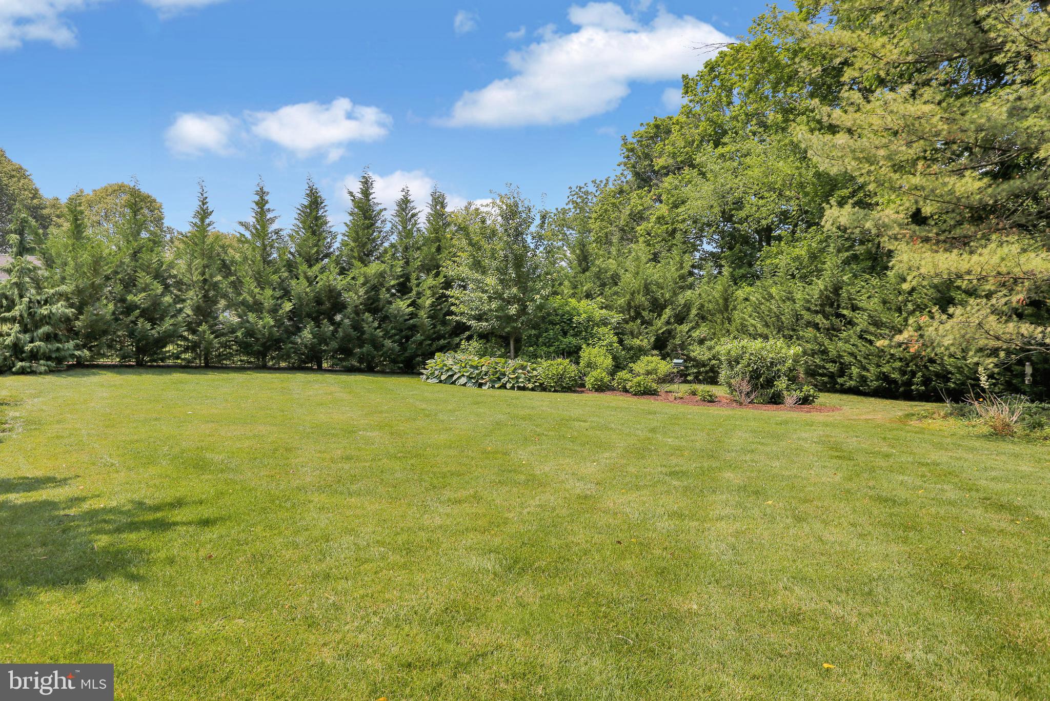 BIRDLAND - Residential