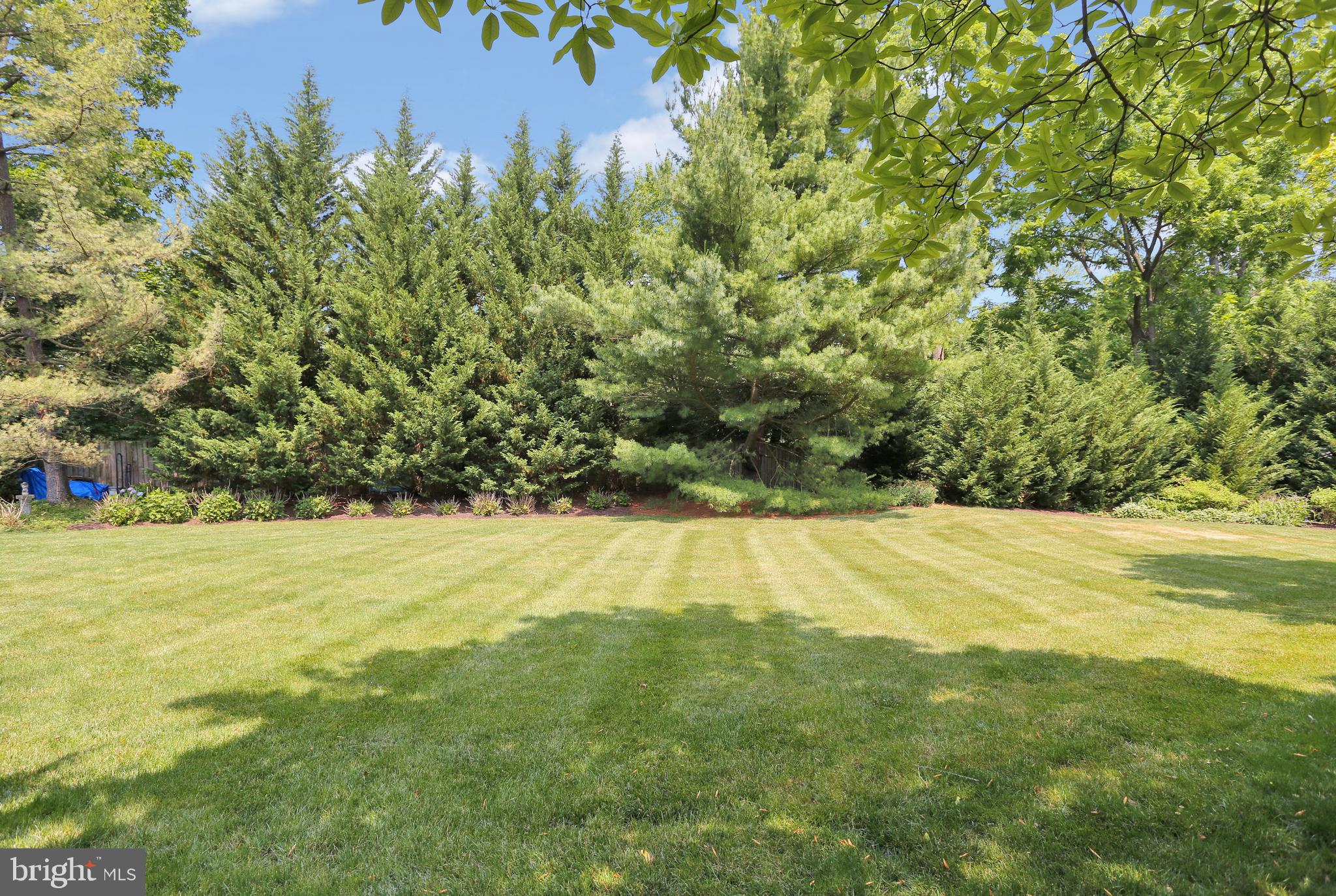 BIRDLAND - Residential