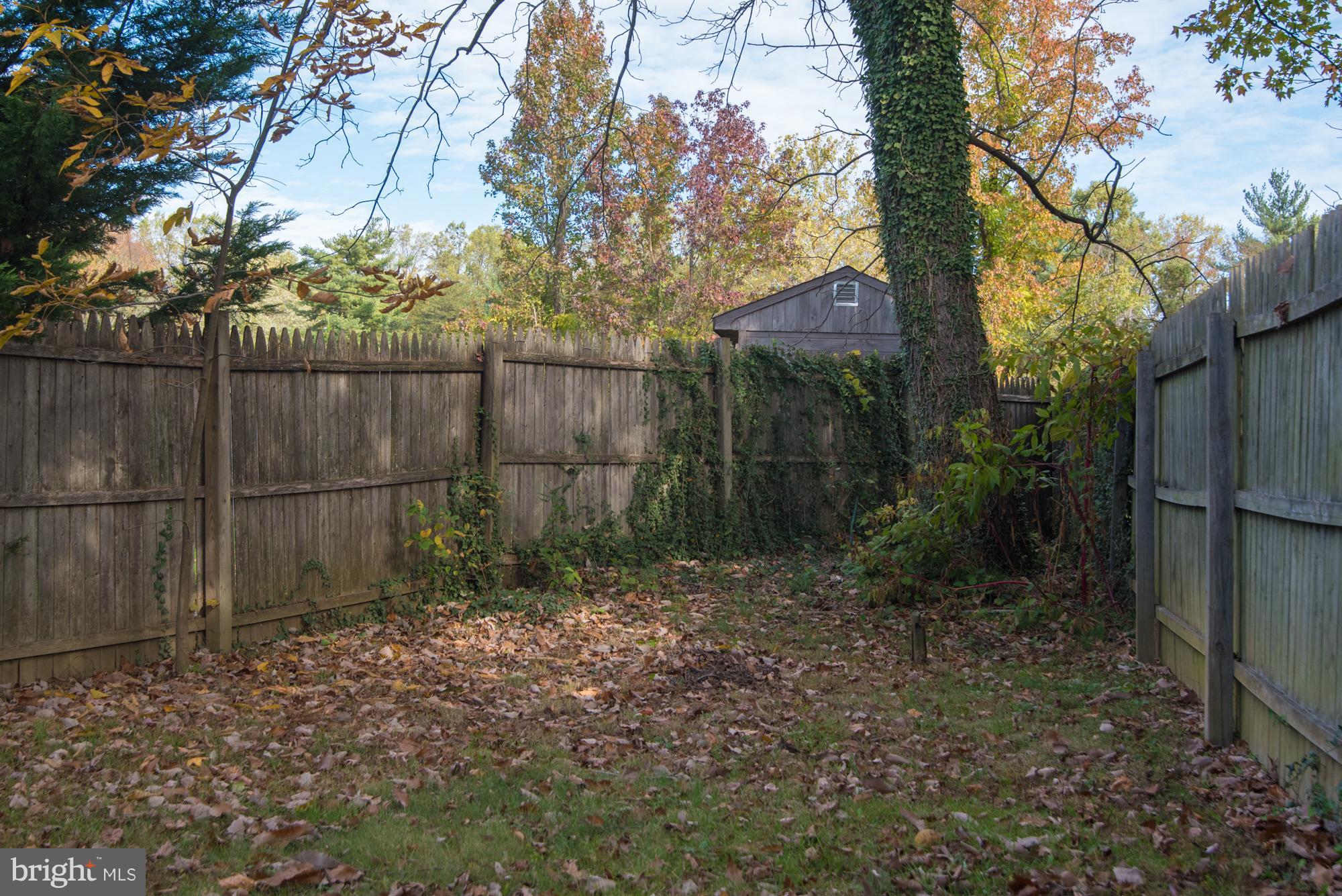 EDGEWATER - Residential Lease