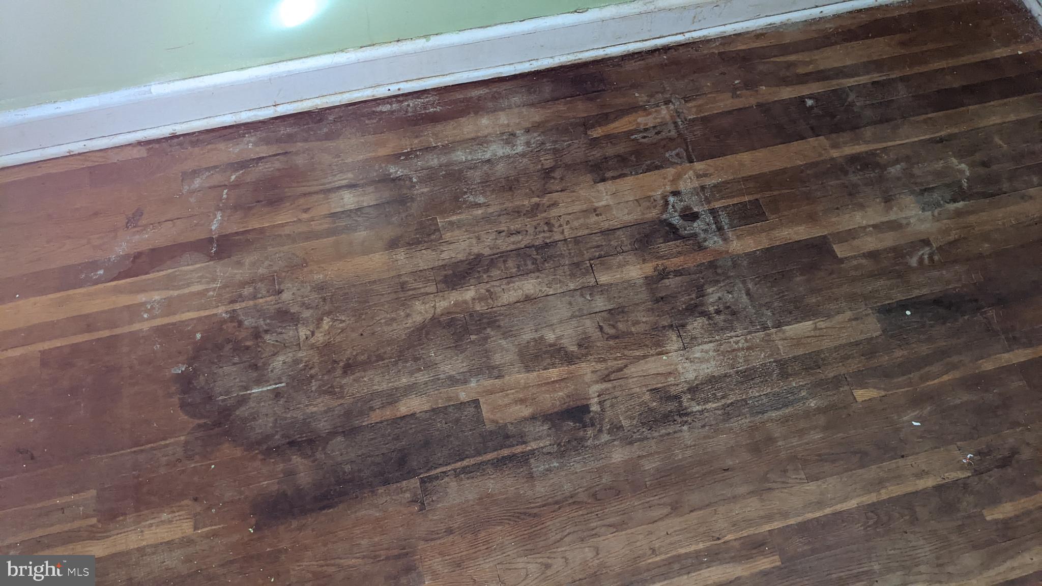 VIOLETVILLE - Residential