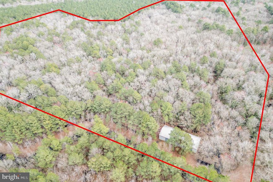 Motivated Seller Alert!! Welcome to your slice of paradise in Federalsburg, MD! This sprawling 30 acre property boasts a 36' x 90' pole building that is ready to cater to all your needs. Step into the spacious interior, featuring a concrete slab floor that ensures durability and ease of maintenance. With an entry door providing convenient access, along with three sliding garage doors, this building is tailor-made for storing your vehicles, equipment, and much more. The expansive land surrounding the building presents endless possibilities for outdoor enthusiasts. Whether you're an avid hunter, a thrill-seeker with a penchant for ATVs, or someone who simply enjoys the great outdoors, this property offers the perfect canvas for your recreational pursuits. Don't miss out on the chance to make this your own haven for relaxation, adventure, and endless possibilities!