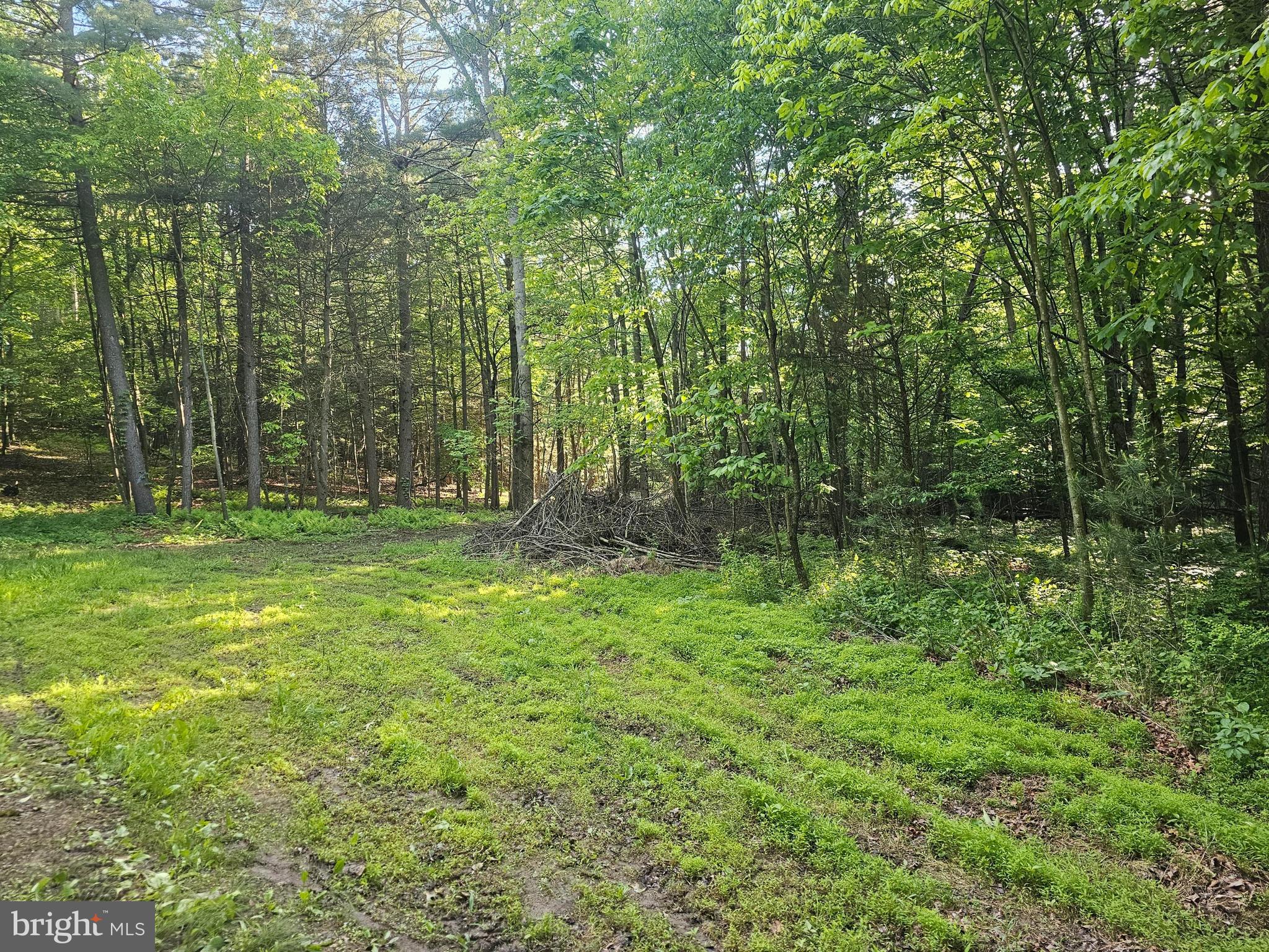Escape to nature with this serene 11-acre wooded parcel nestled in beautiful Perry County! This property offers privacy, natural beauty, and a wealth of possibilities. The lot is already perc approved and ready for your septic system. Zoned Agricultural which is ideal for farming, homesteading, or future development. Whether you're looking to build now or invest for the future, this property offers peace, potential, and privacy.