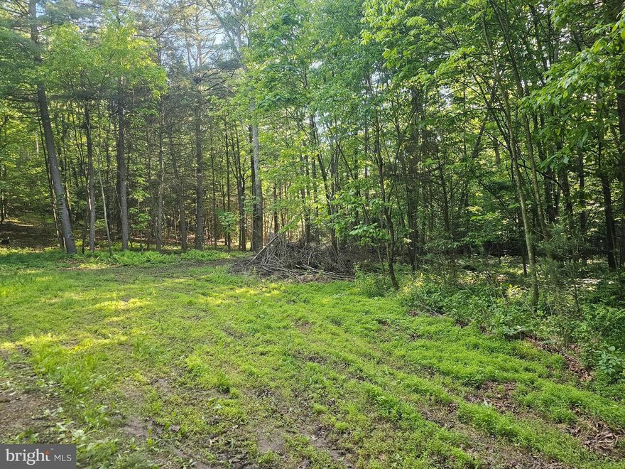Escape to nature with this serene 11-acre wooded parcel nestled in beautiful Perry County! This property offers privacy, natural beauty, and a wealth of possibilities. The lot is already perc approved and ready for your septic system. Zoned Agricultural which is ideal for farming, homesteading, or future development. Whether you're looking to build now or invest for the future, this property offers peace, potential, and privacy.