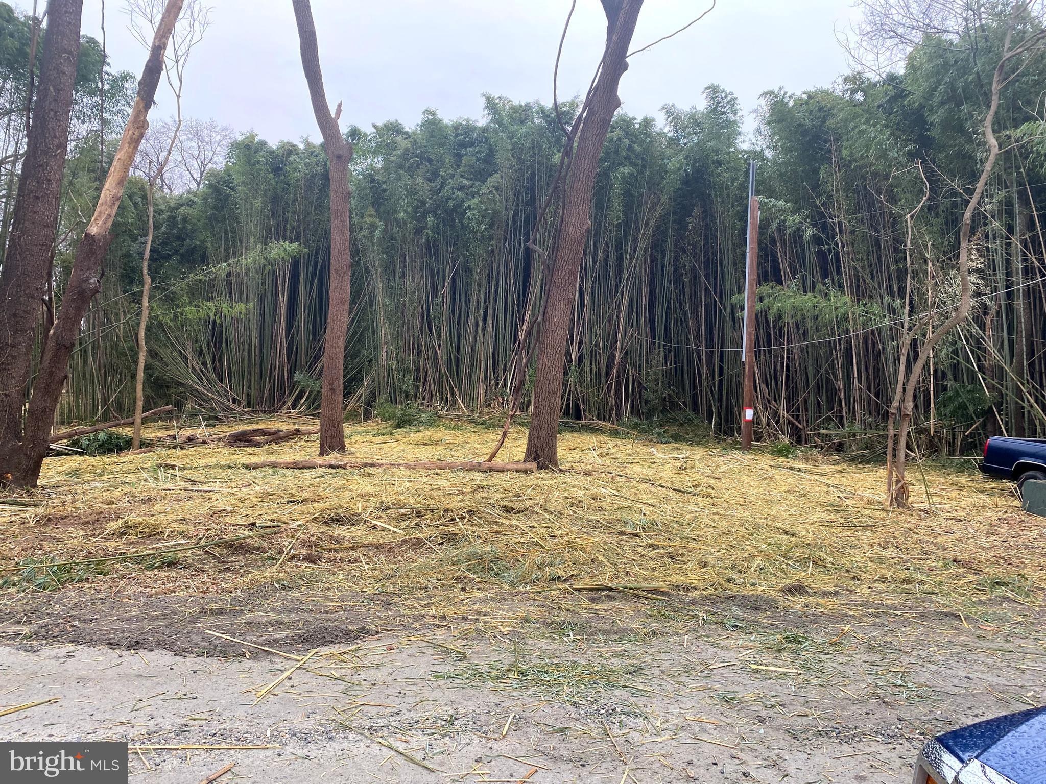 CHESAPEAKE HAVEN - Residential