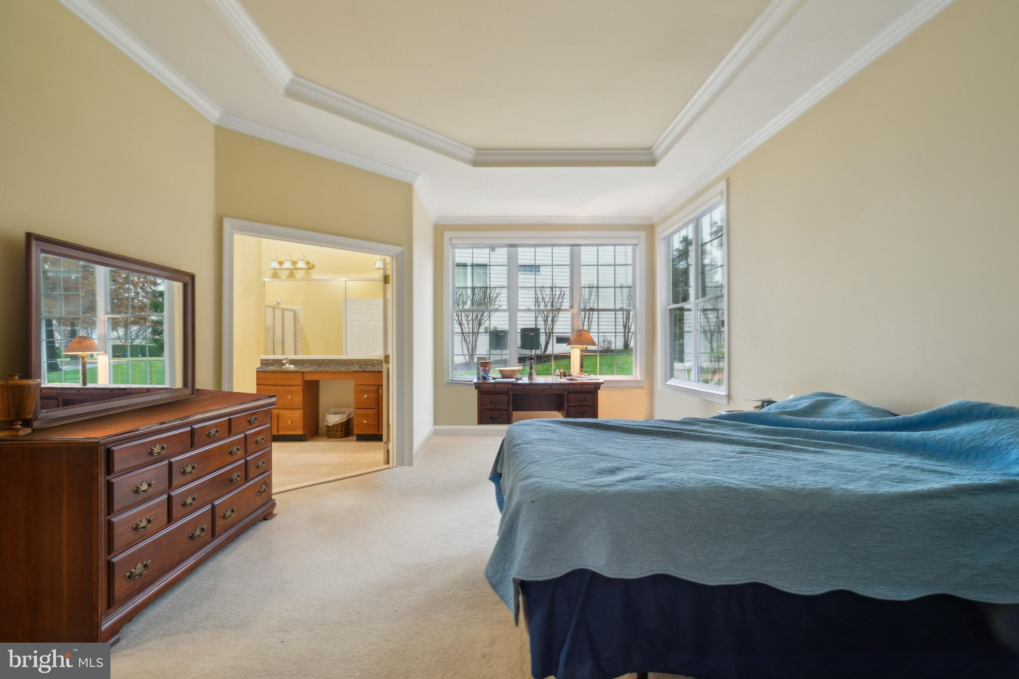 REGENCY AT DOMINION VALLEY - Residential