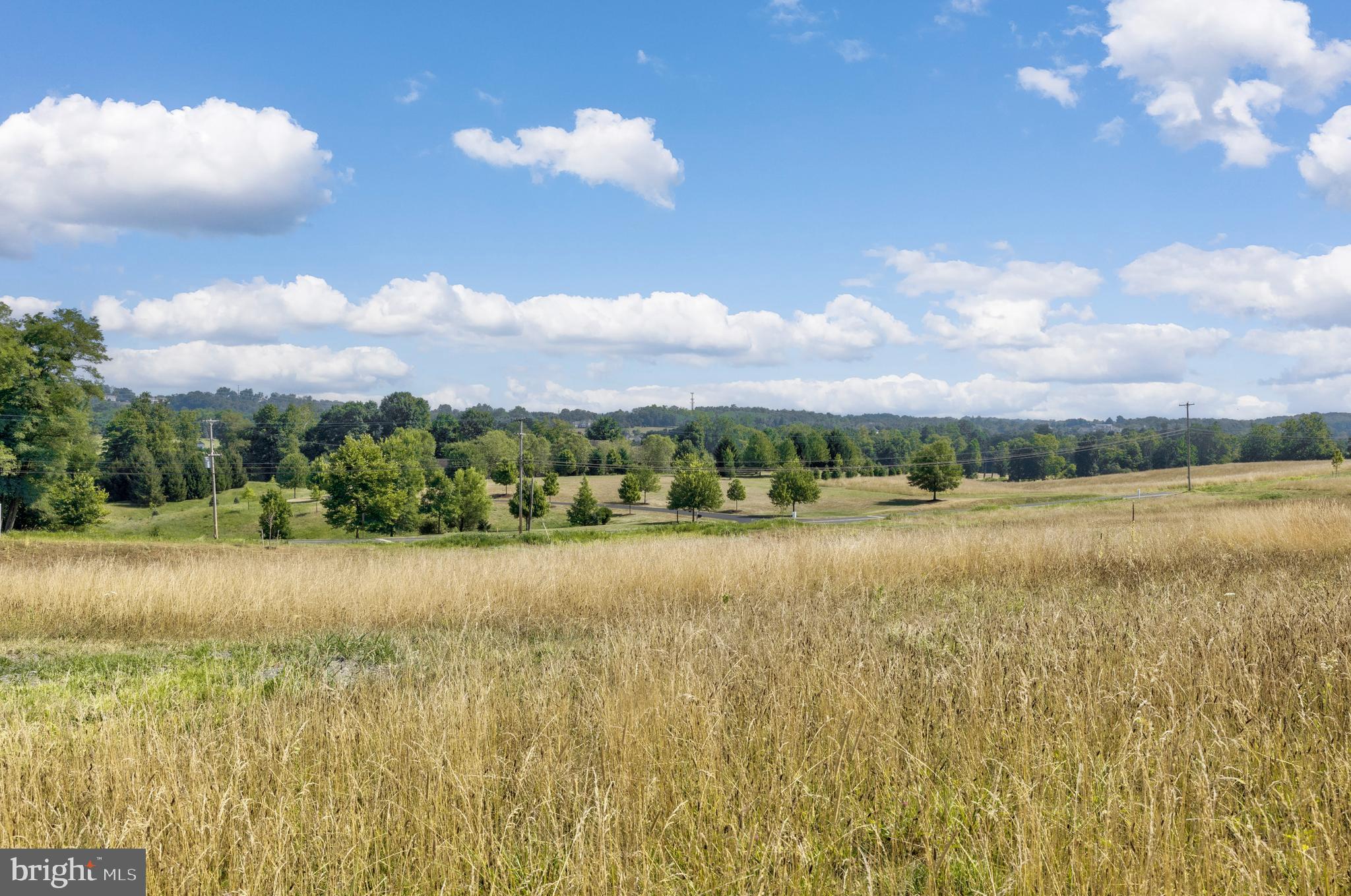 Lot 4 - 2.07ac - Discover Serenity at Mowery Orchards. Located near Messiah College and Bowmansdale. Each homesite offers panoramic, unending views that capture vibrant sunrises and tranquil sunsets, setting a picturesque backdrop for daily life. Partner with our team—featuring a visionary Architect, an innovative Interior Designer, and renowned Tru Construction—to design and build a residence that maximizes the unique rolling topography and expansive views. Here, your dream home will seamlessly integrate elegance with nature's grandeur.
Residents of Mowery Orchards will enjoy exclusive access to a scenic one-mile walking loop, winding through 54 acres of preserved woodlands. The lush trails, abundant with wildlife, run alongside the serene Pippin Run, offering a peaceful retreat into nature. Select from a variety of spacious lot sizes ranging from 2 to nearly 4 acres, each promising a unique canvas for your architectural dreams. At Mowery Orchards, your future home awaits amidst nature’s masterpiece.