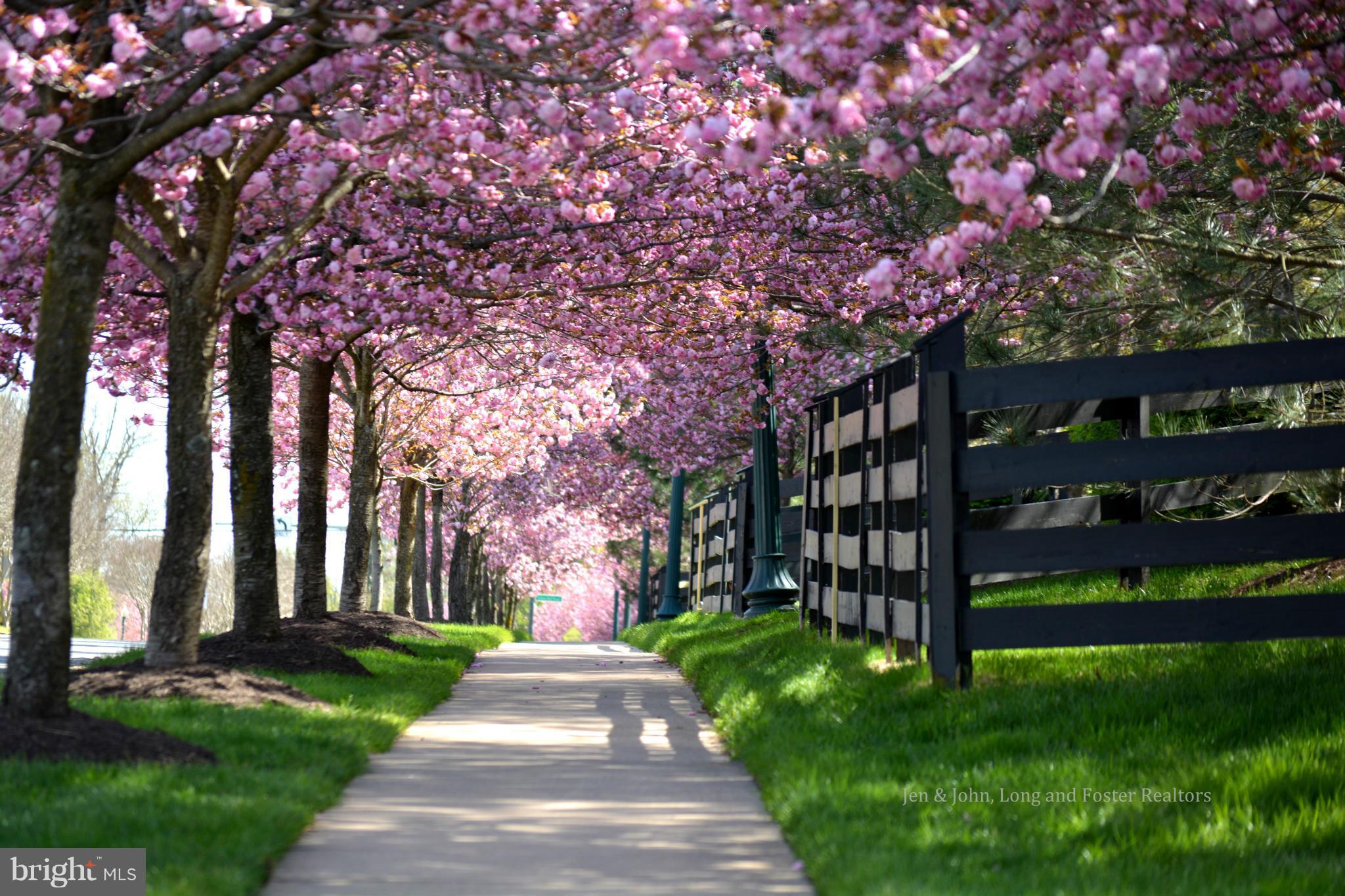 BRAEMAR             PH 3 - Residential