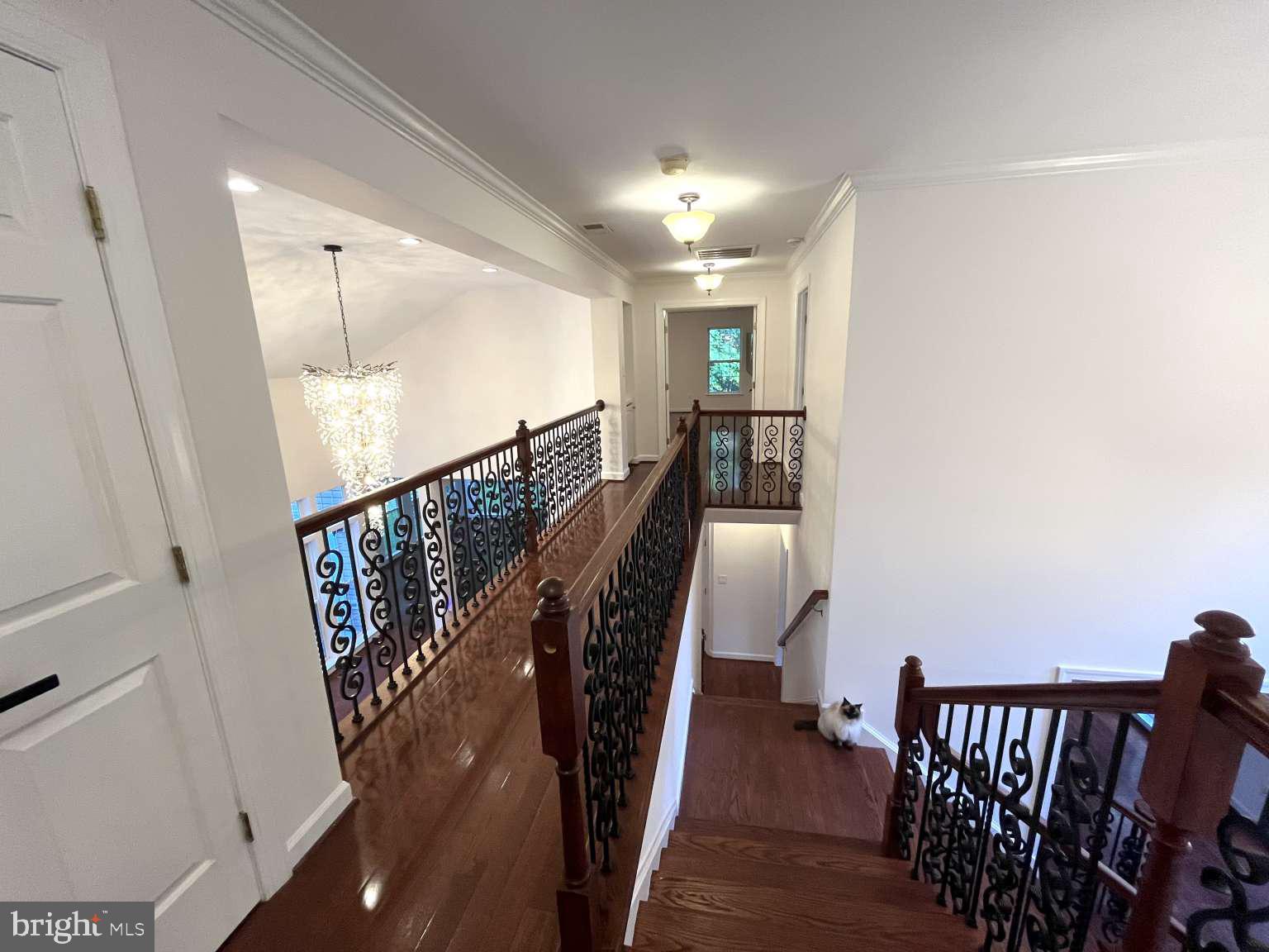 CYPRESS RUN - Residential