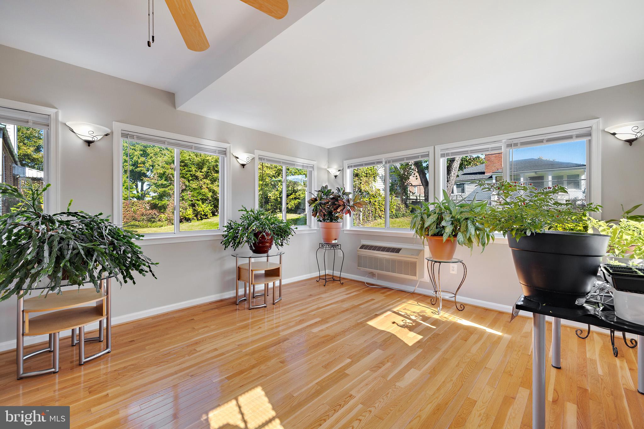 CHILLUM TERRACE - Residential