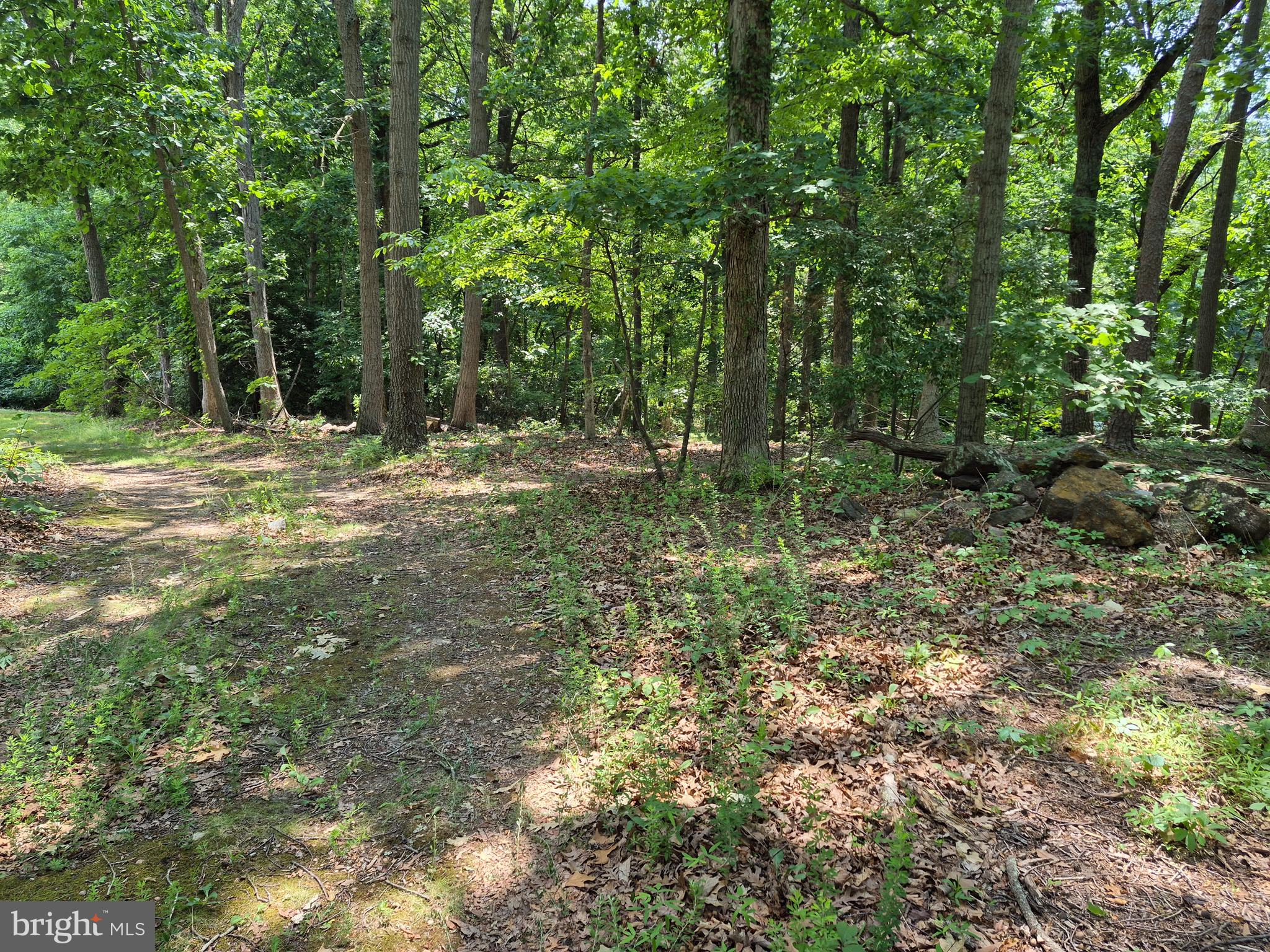 0 JONES LANE