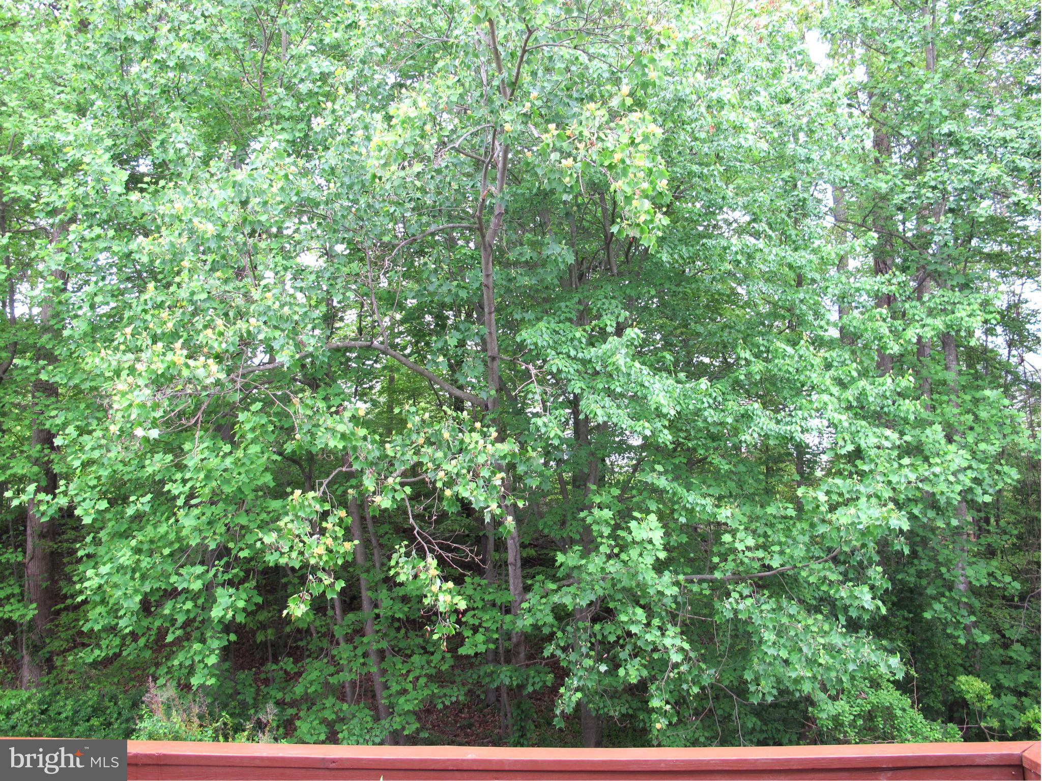 CAPETOWNE - Residential