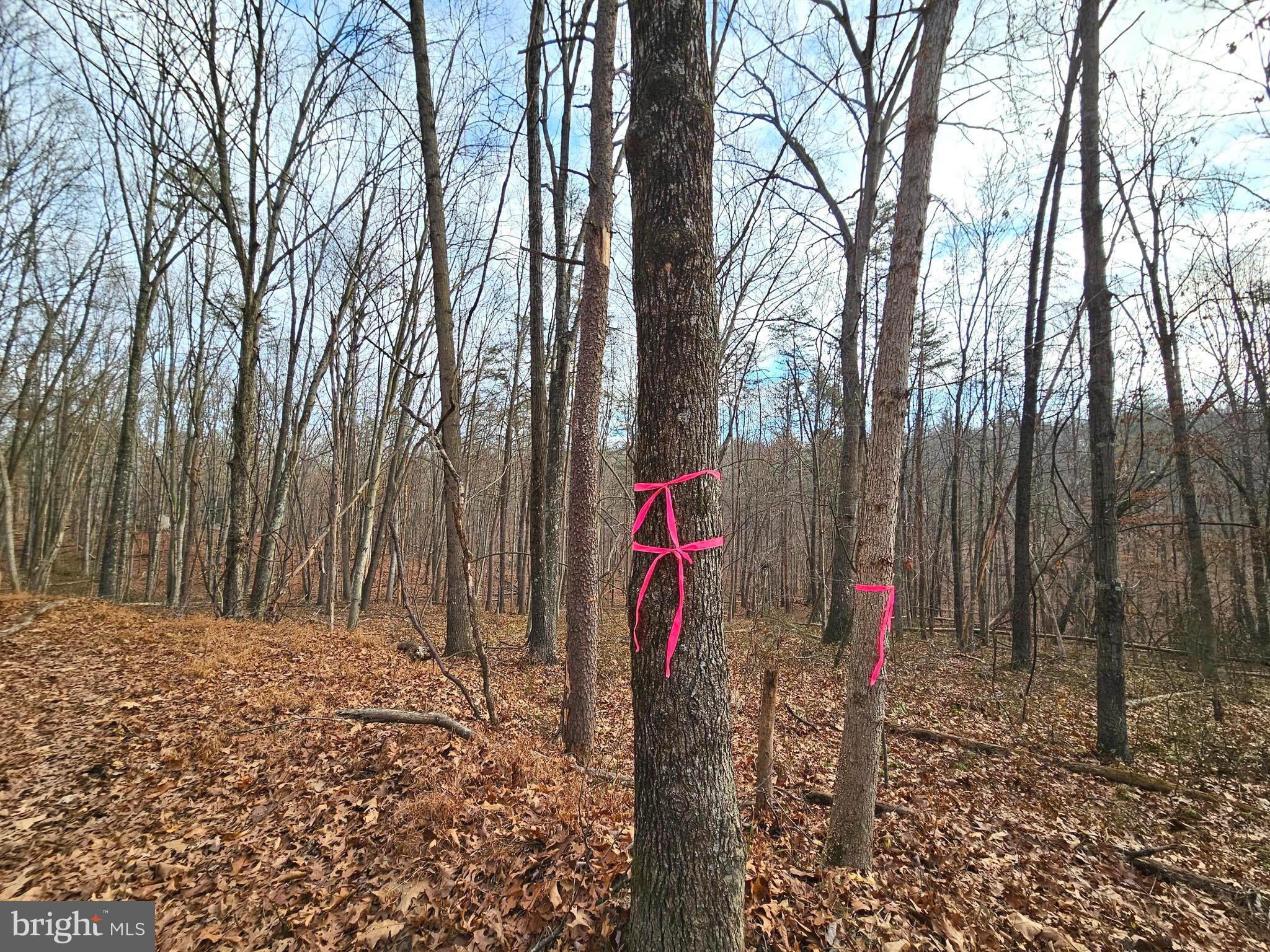 Lot 35 OAK HILL ROAD