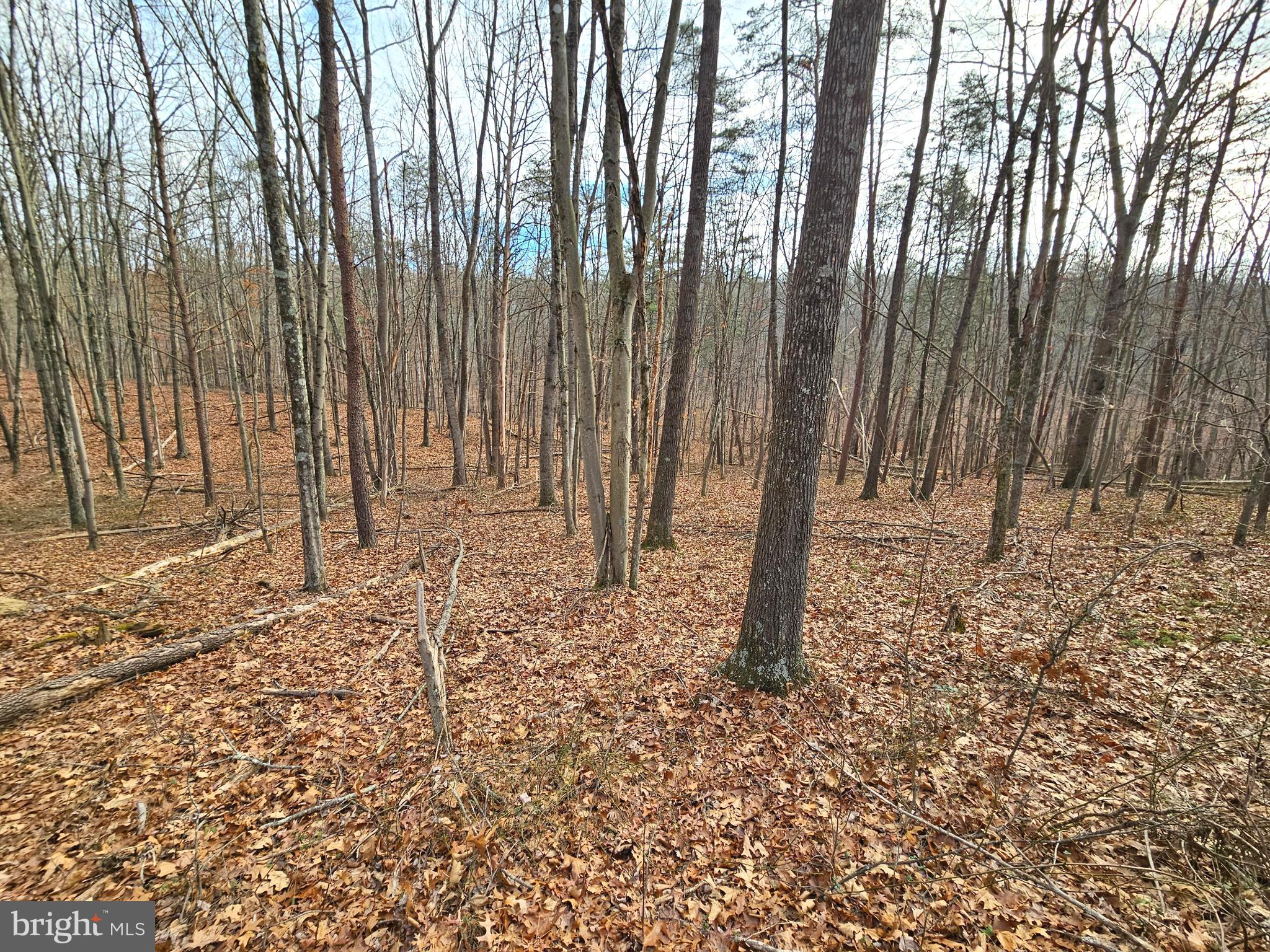 Lot 35 OAK HILL ROAD