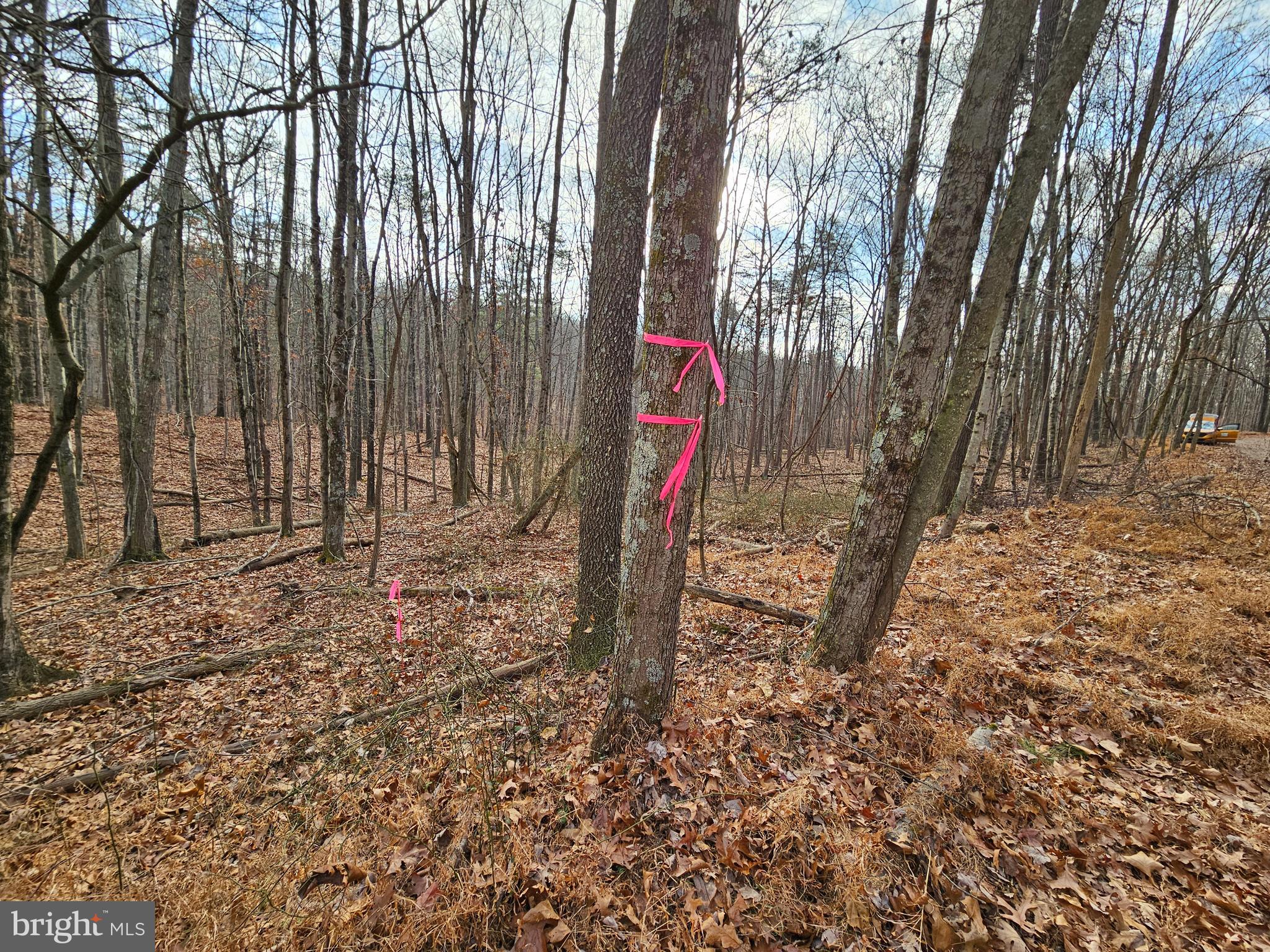 SLEEPY CREEK FOREST - Land