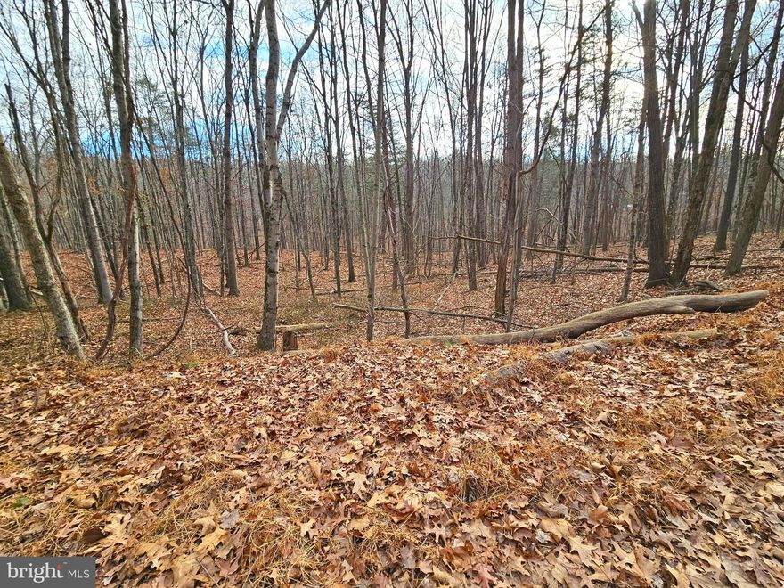 3.54 wooded acres, tucked away in the forest.  Interesting land not flat, not steep, nicely rolling land. 
Mix of Full-time and part-time homes and cabins and still some untouched vacant land. 
Short drive to Sleepy Creek Wildlife Management Area.  23,000 acres for hunting, fishing, hiking, camping and wildlife viewing.   Not to mention, Canoeing and kayaking in it's 205 acre lake.