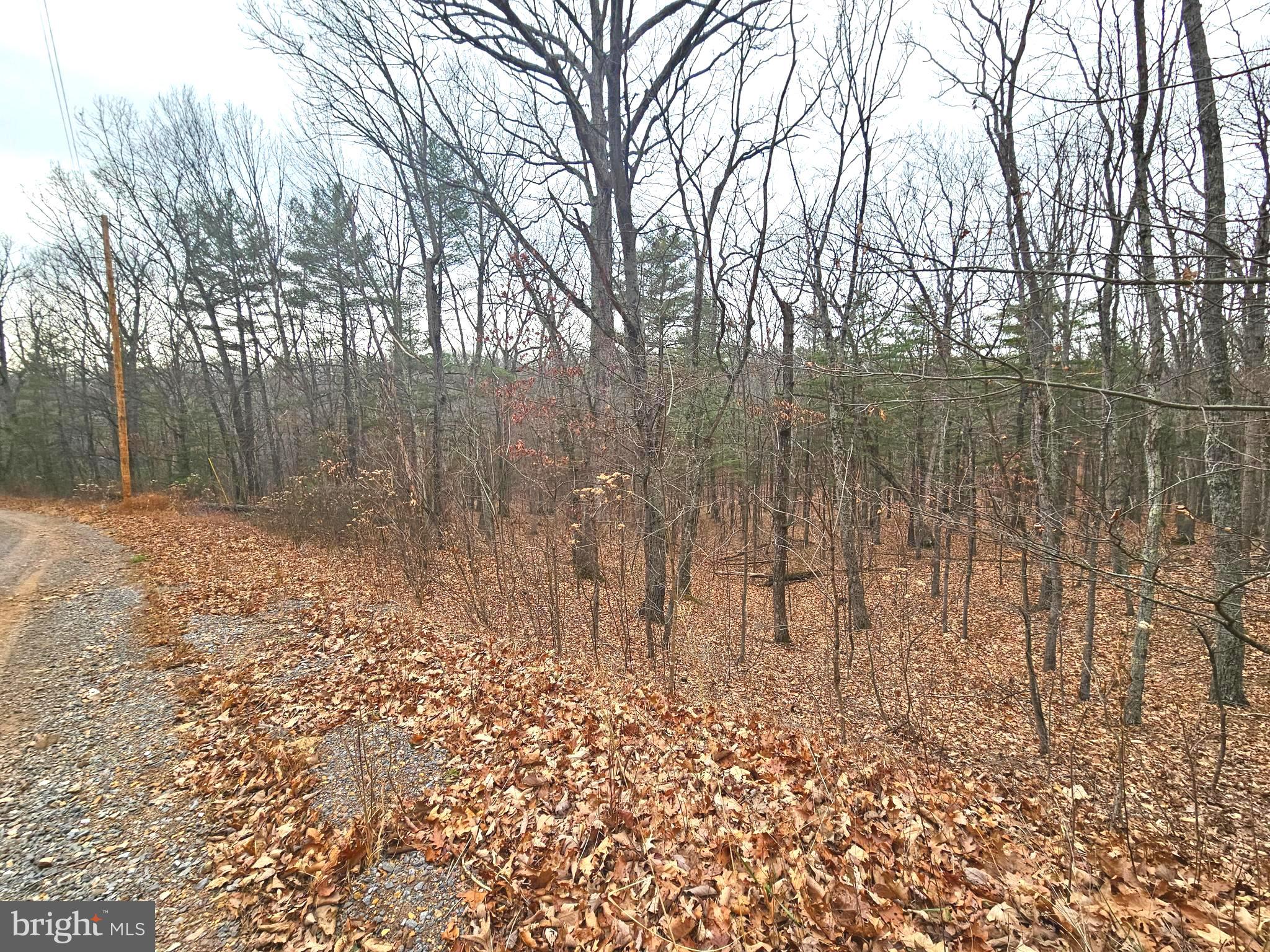 SLEEPY CREEK FOREST - Land