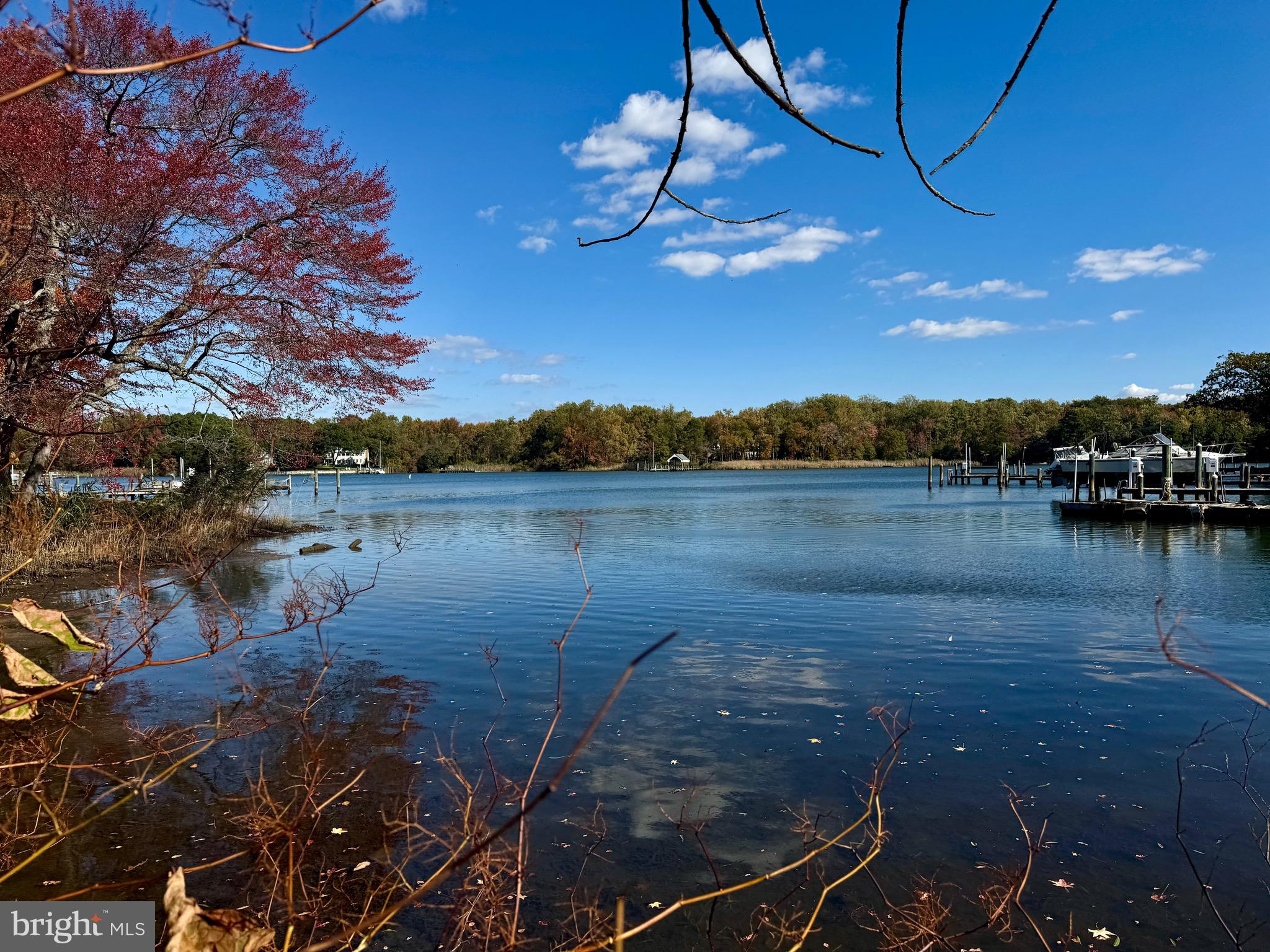 LONG POINT ON THE MAGOTHY - Land