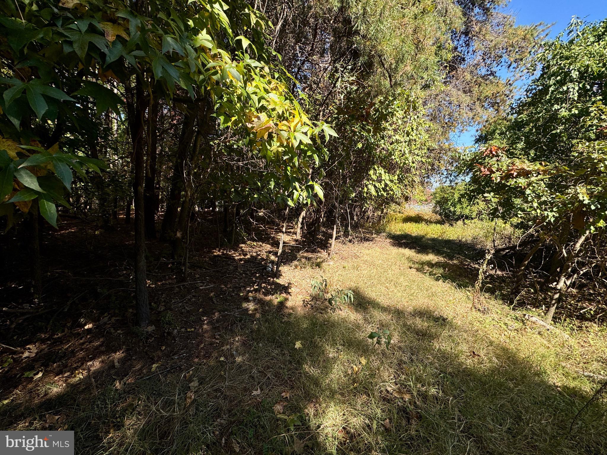 CORNFIELD ROAD