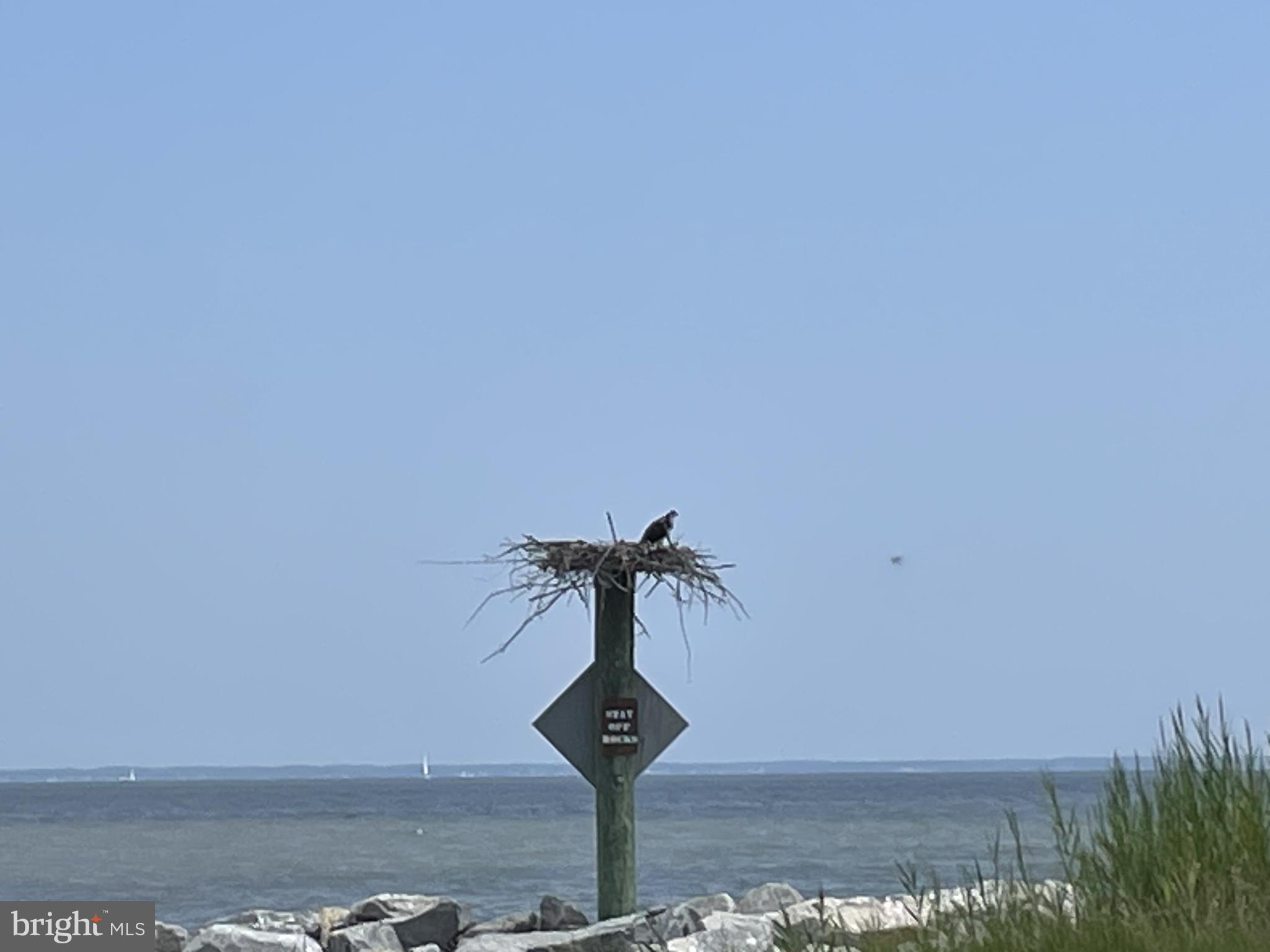 SAUNDERS POINT - Residential