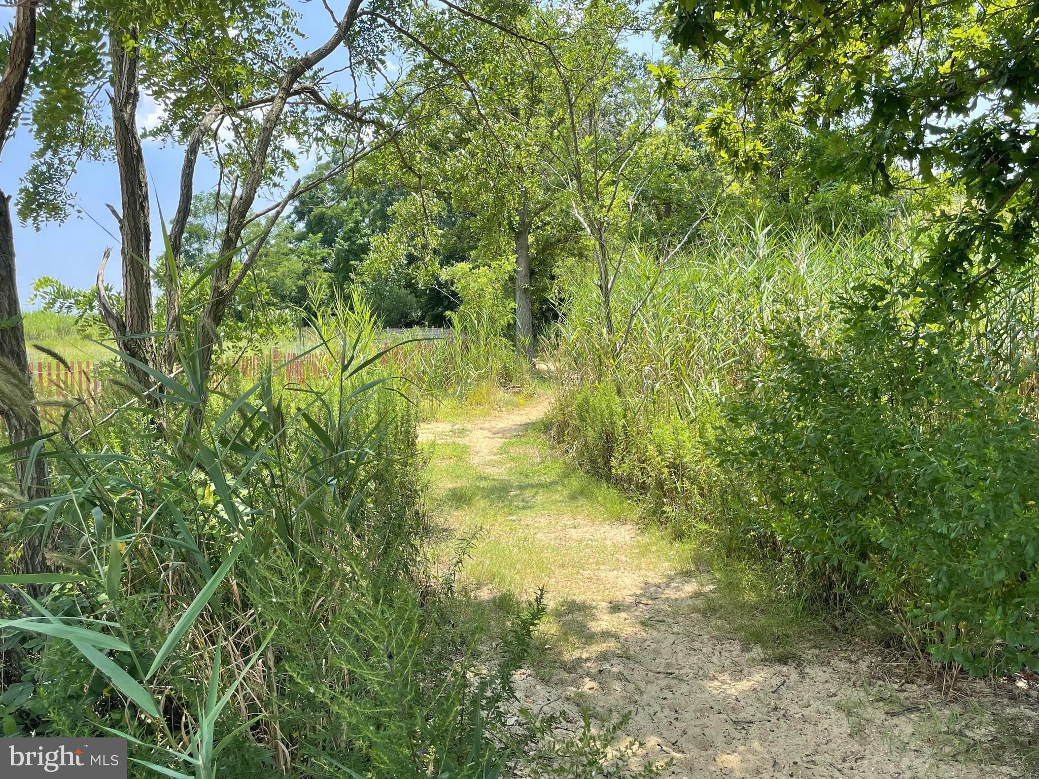 SAUNDERS POINT - Residential