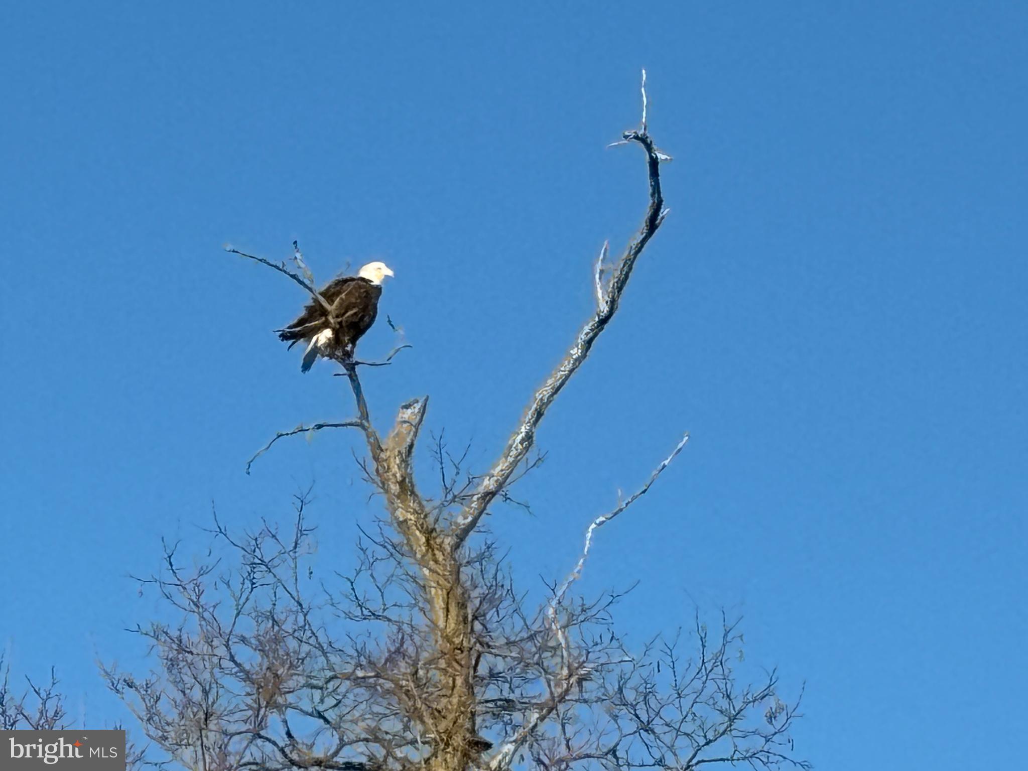 NORTH EAST ISLES - Residential