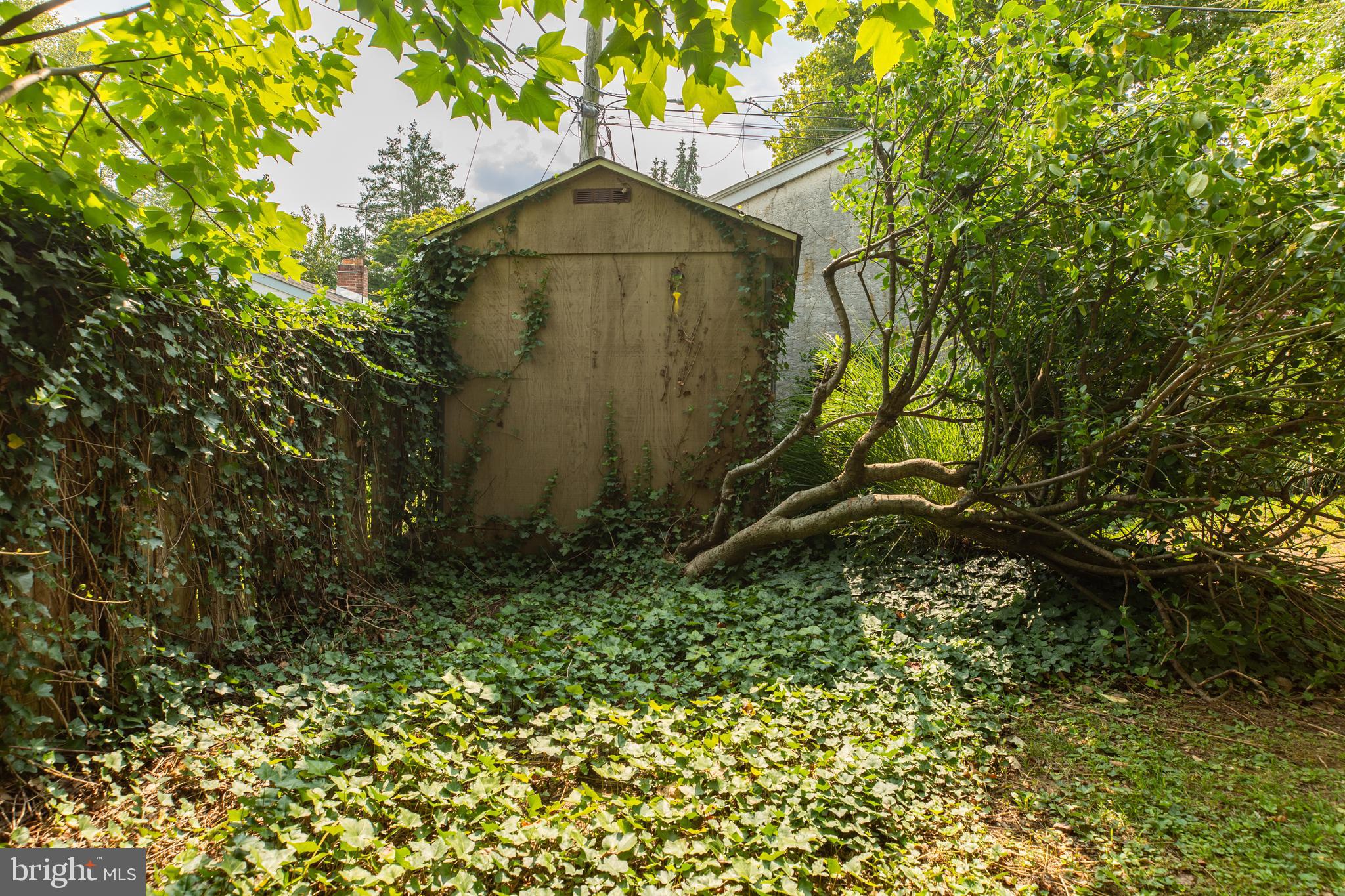 SPRINGFIELD - Residential