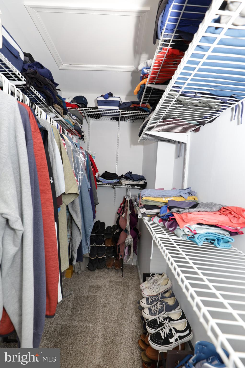 ORANGE HUNT ESTATES - Residential