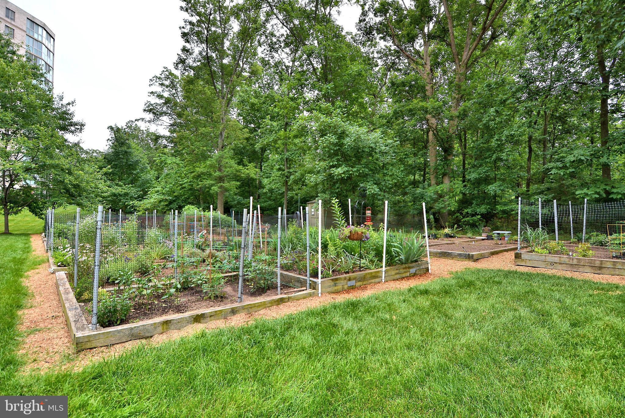 POTOMAC RIDGE AT LEISURE - Residential