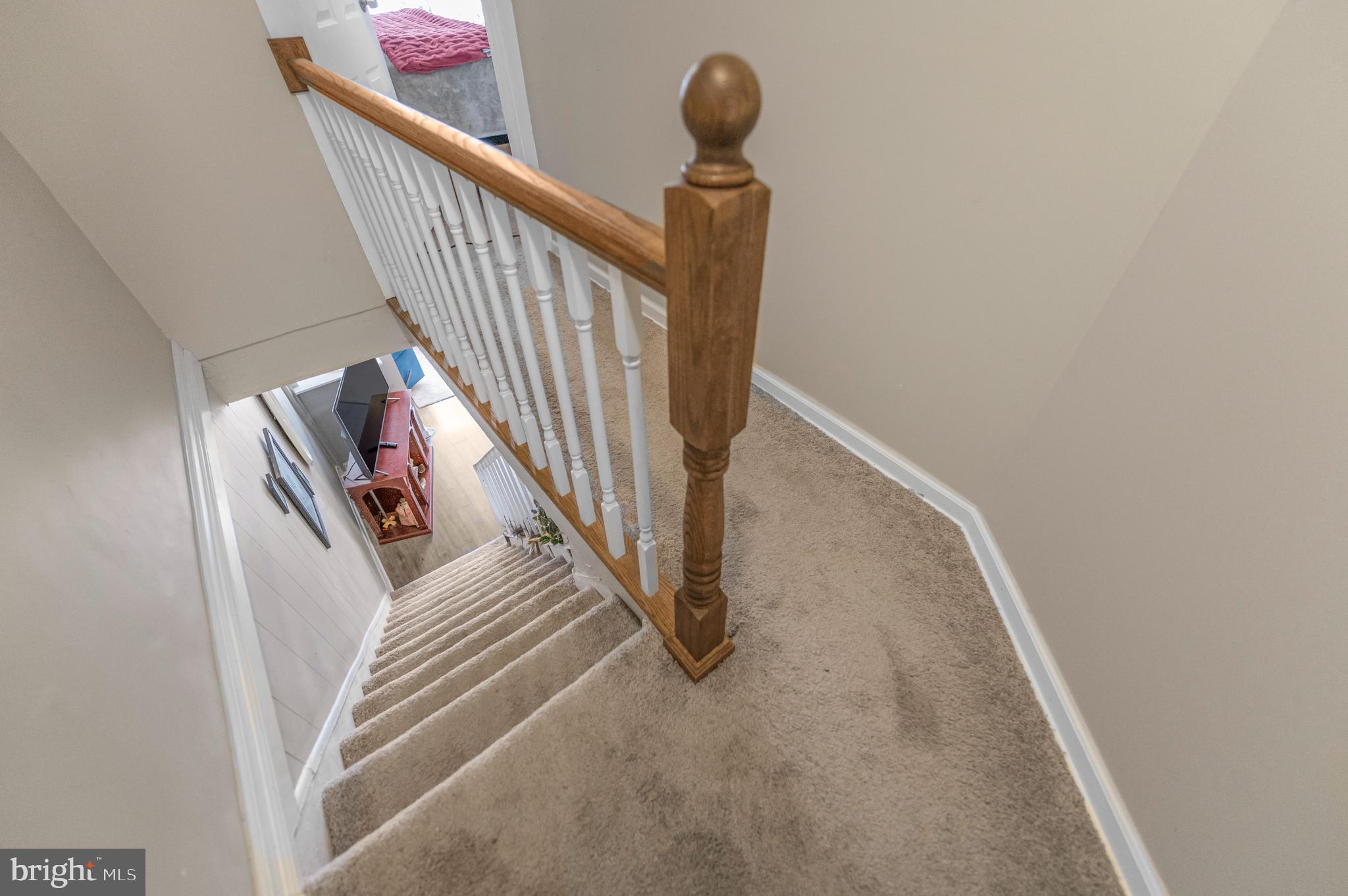 COLLINGDALE - Residential