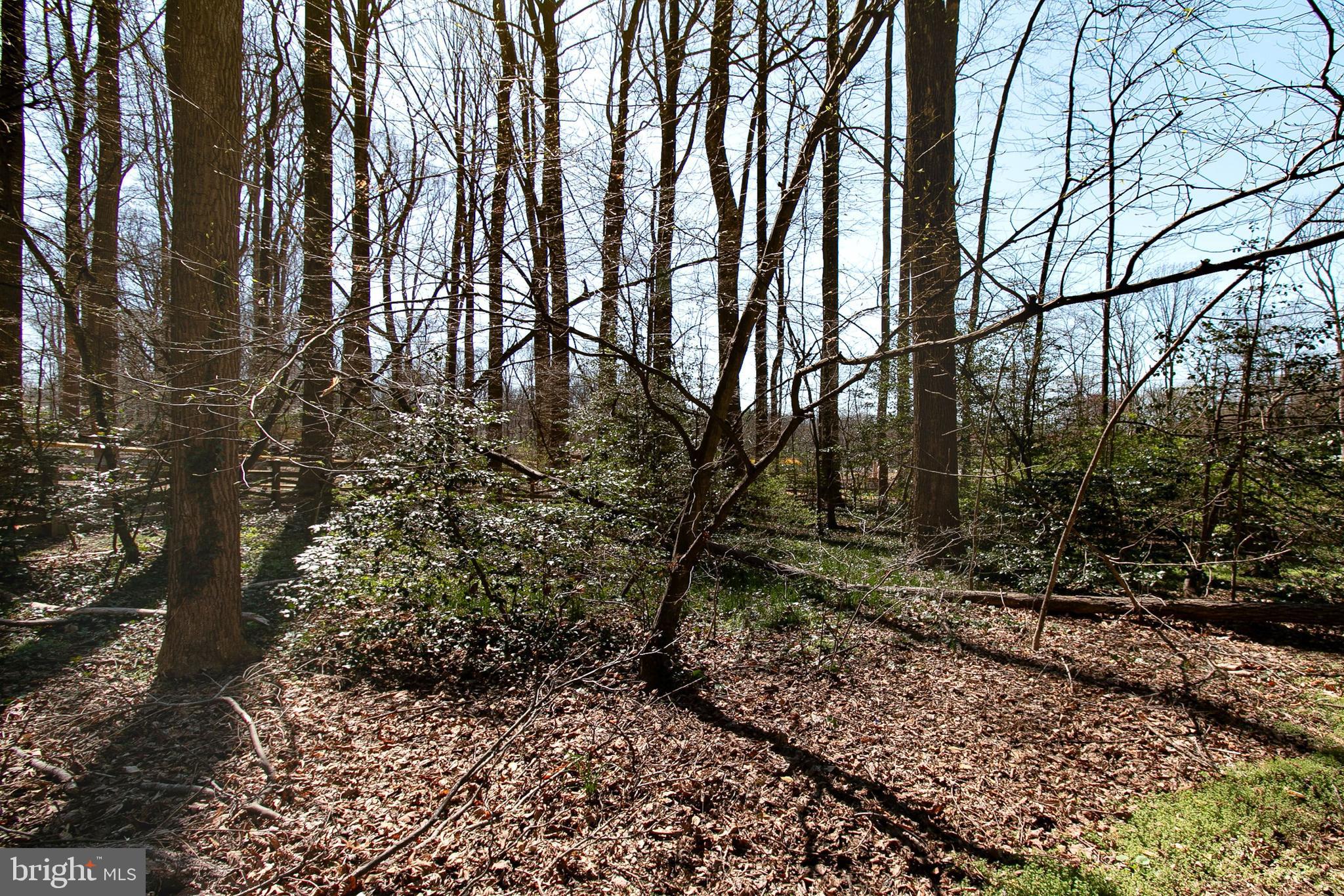 CANNON RIDGE - Residential