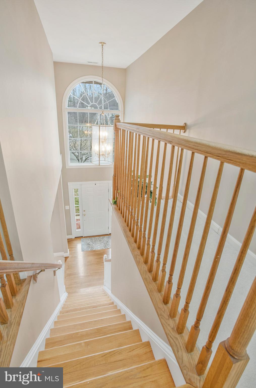 QUEENSBERRY - Residential