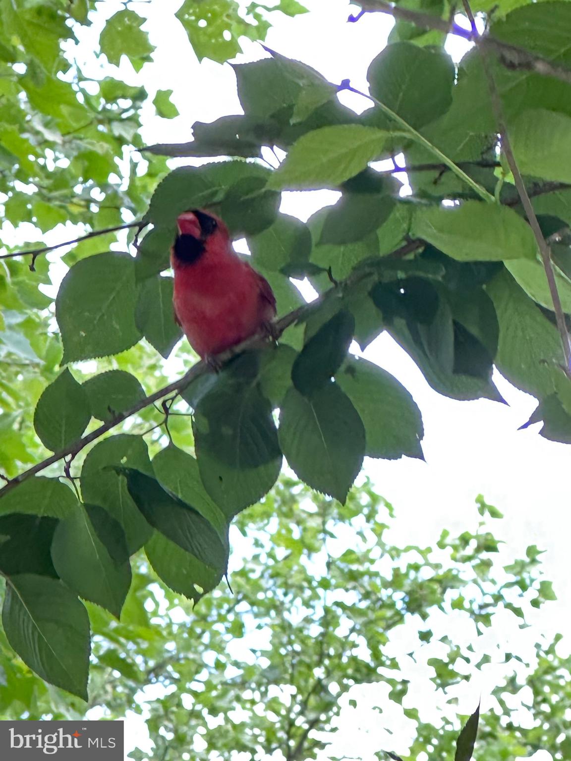 KING FARM WATKINS POND - Residential