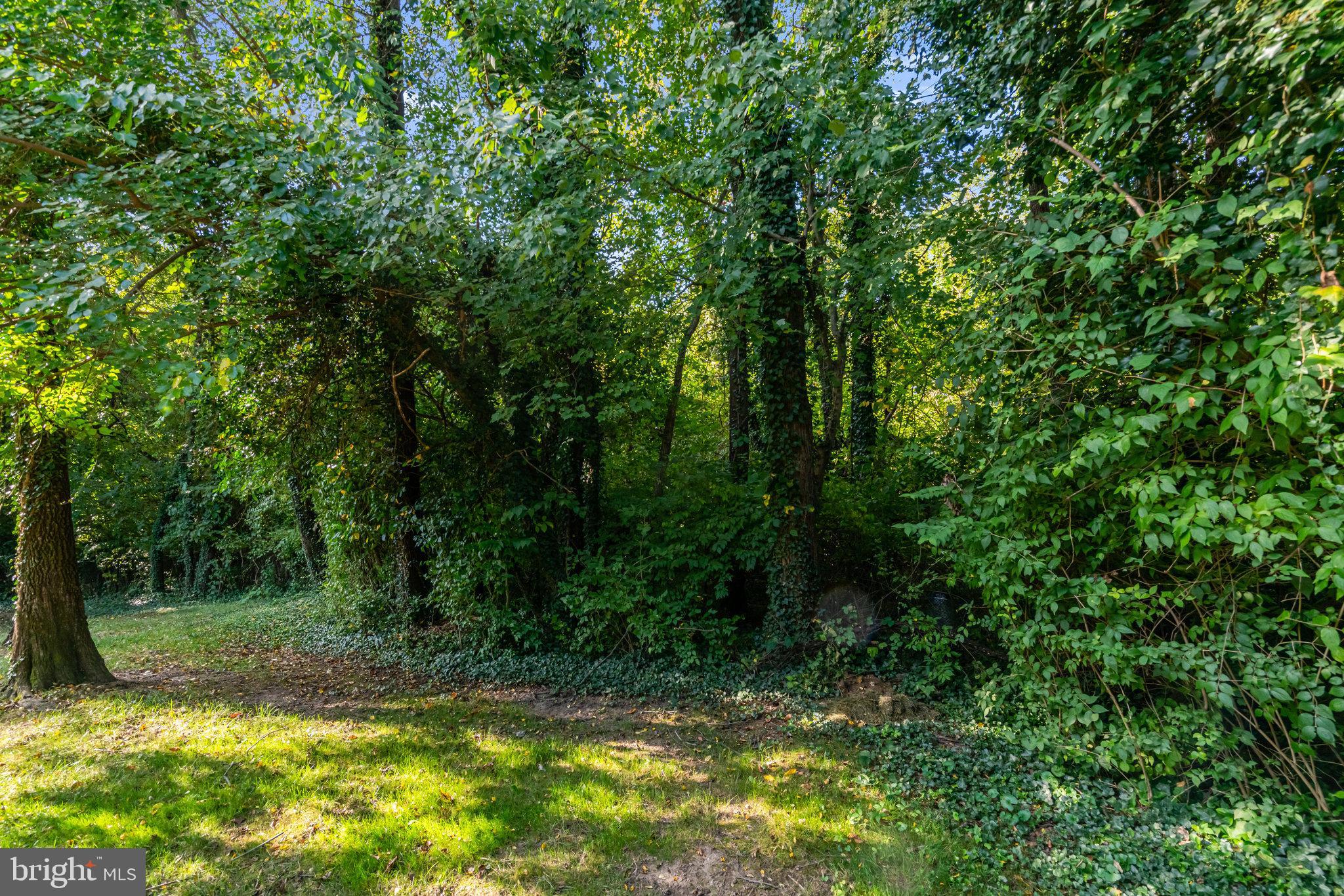 ROYAL COURT - Residential Lease