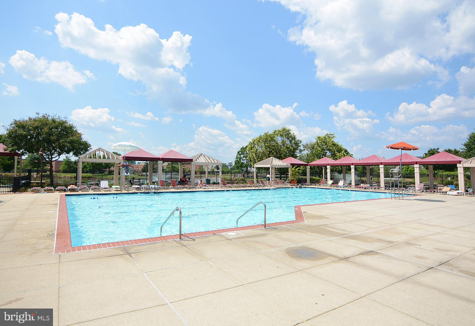 CHESTNUT POINT EAST - Residential