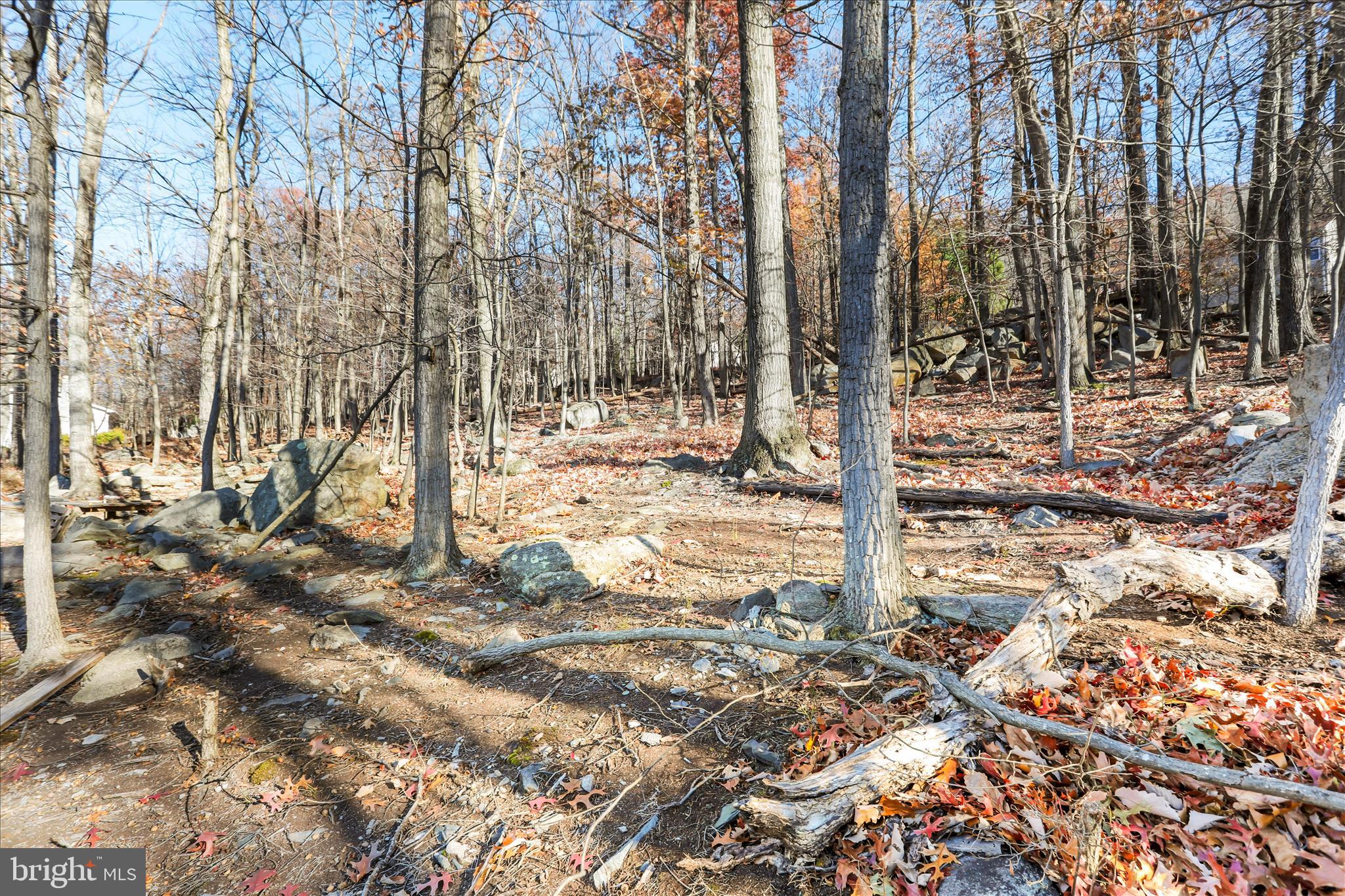 SHANNONDALE - Residential