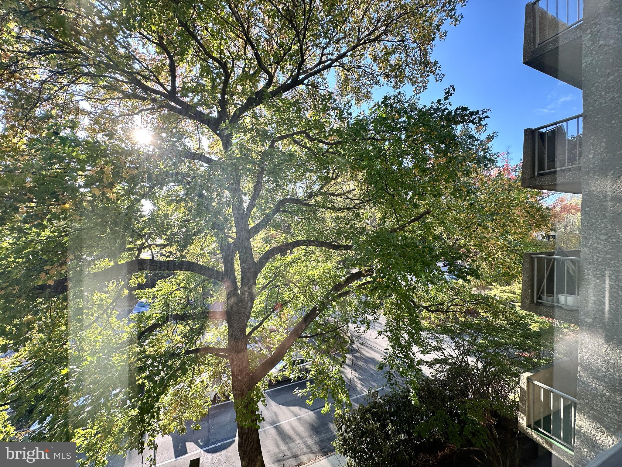 GREENHILL FARMS - Residential