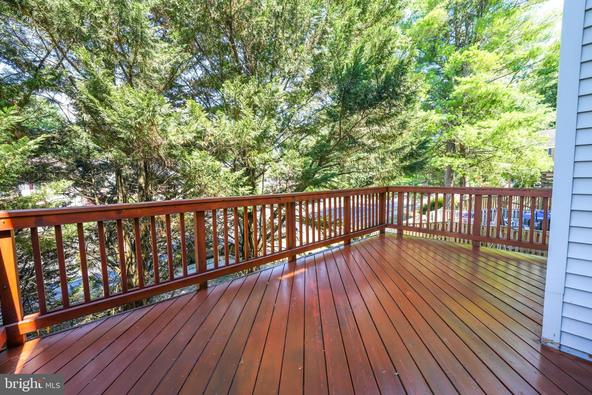 RUNNYMEADE - Residential Lease