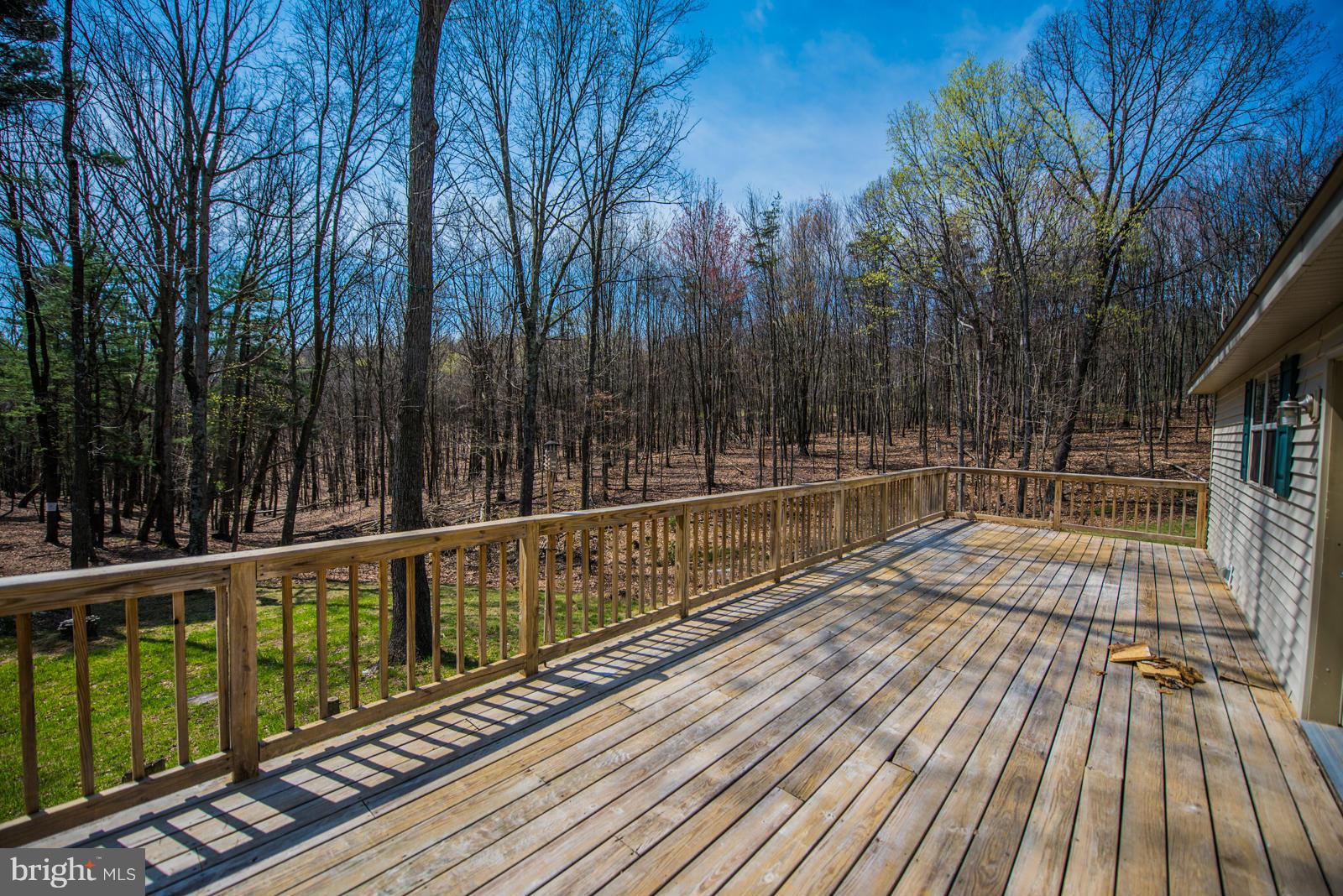 COLD SPRING FOREST - Residential