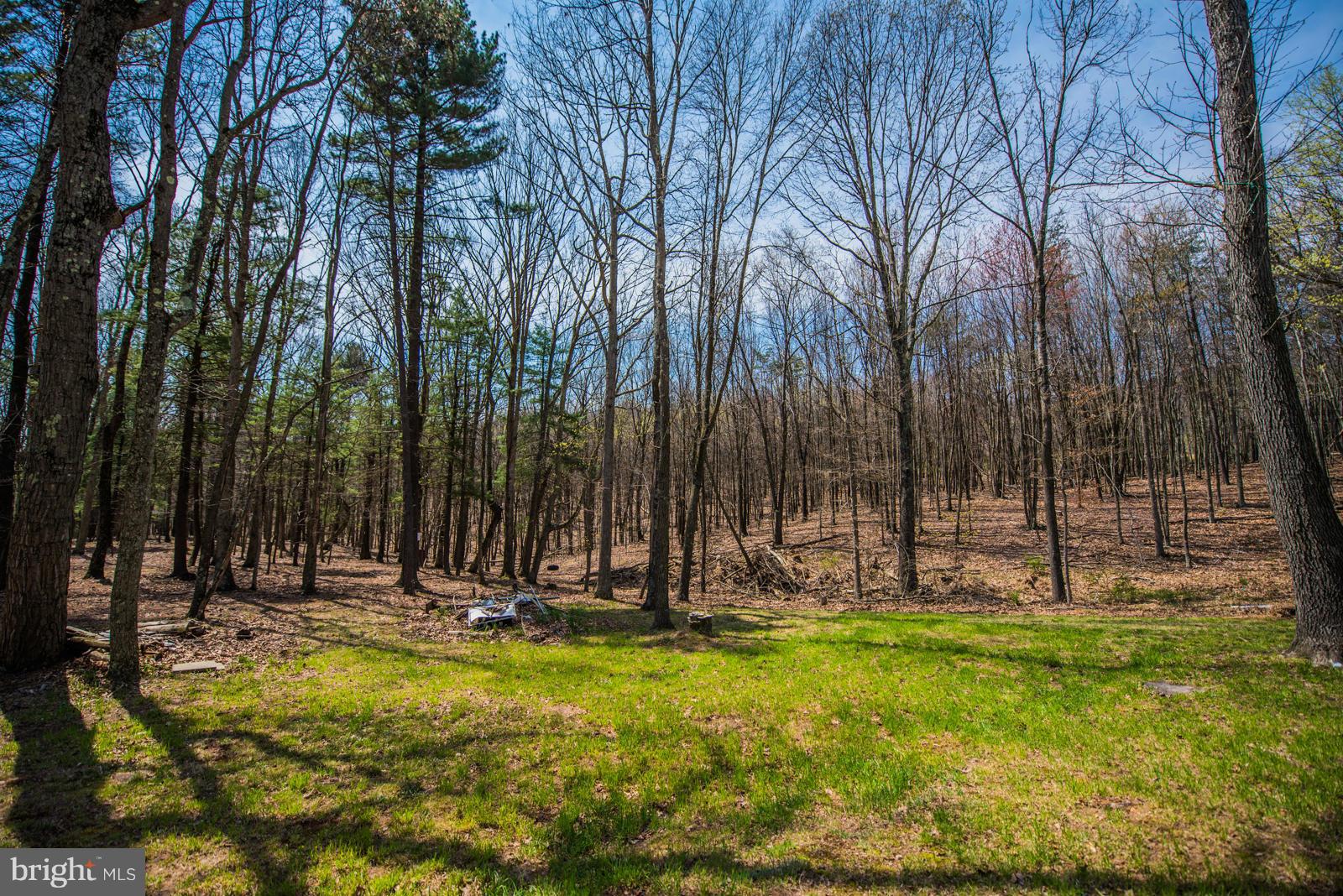 COLD SPRING FOREST - Residential