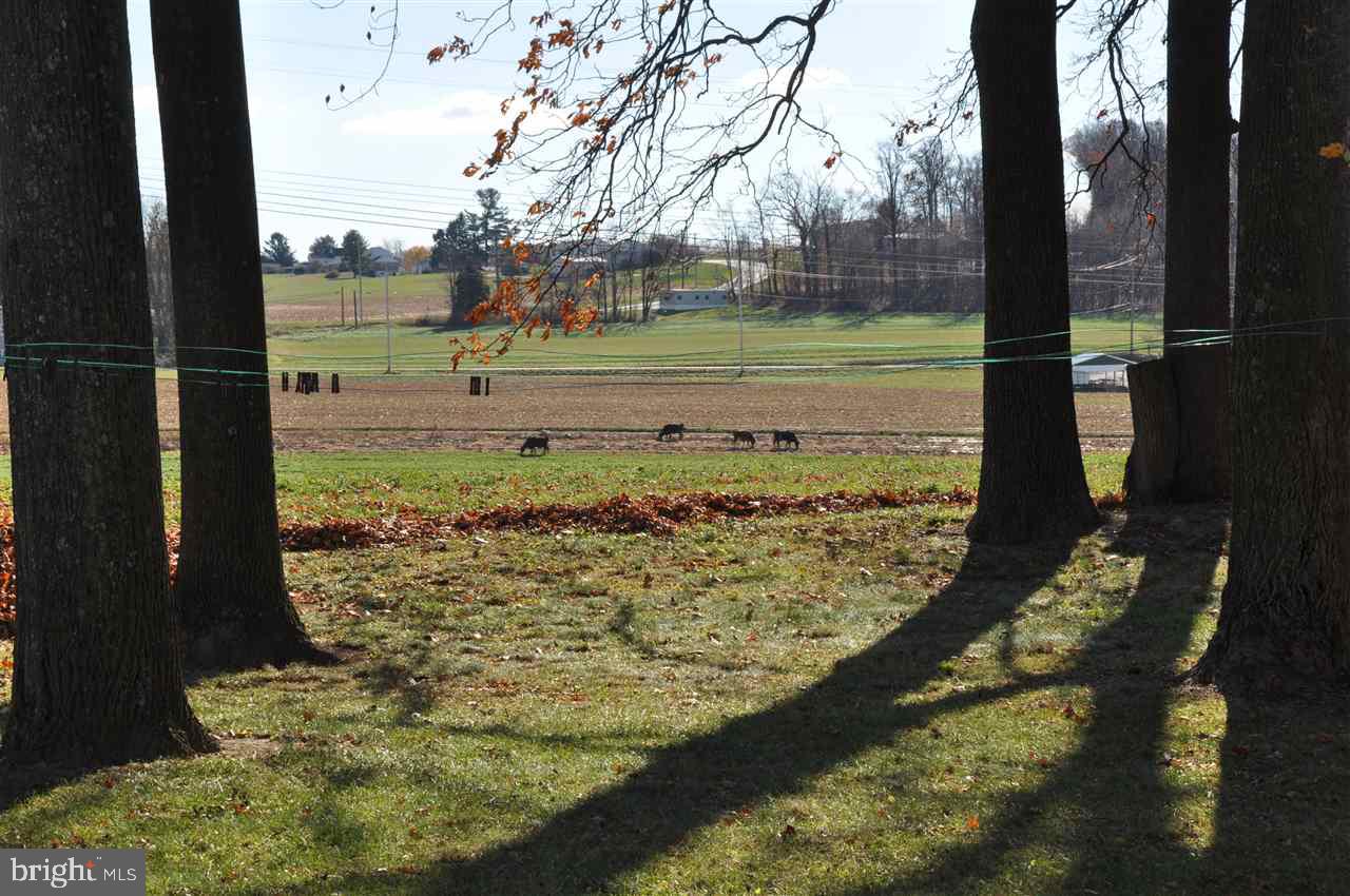 POPLAR VIEW - Residential