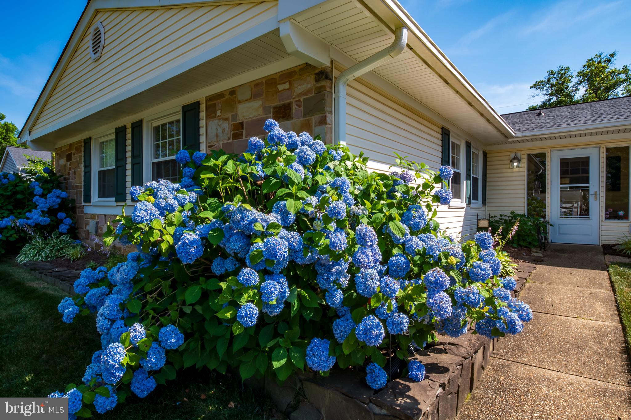 KENILWORTH AT BELAIR - Residential